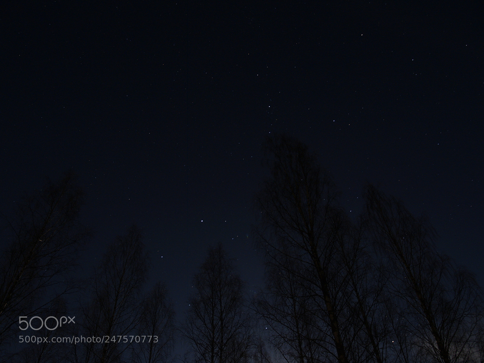 Olympus E-300 (EVOLT E-300) sample photo. Night sky photography