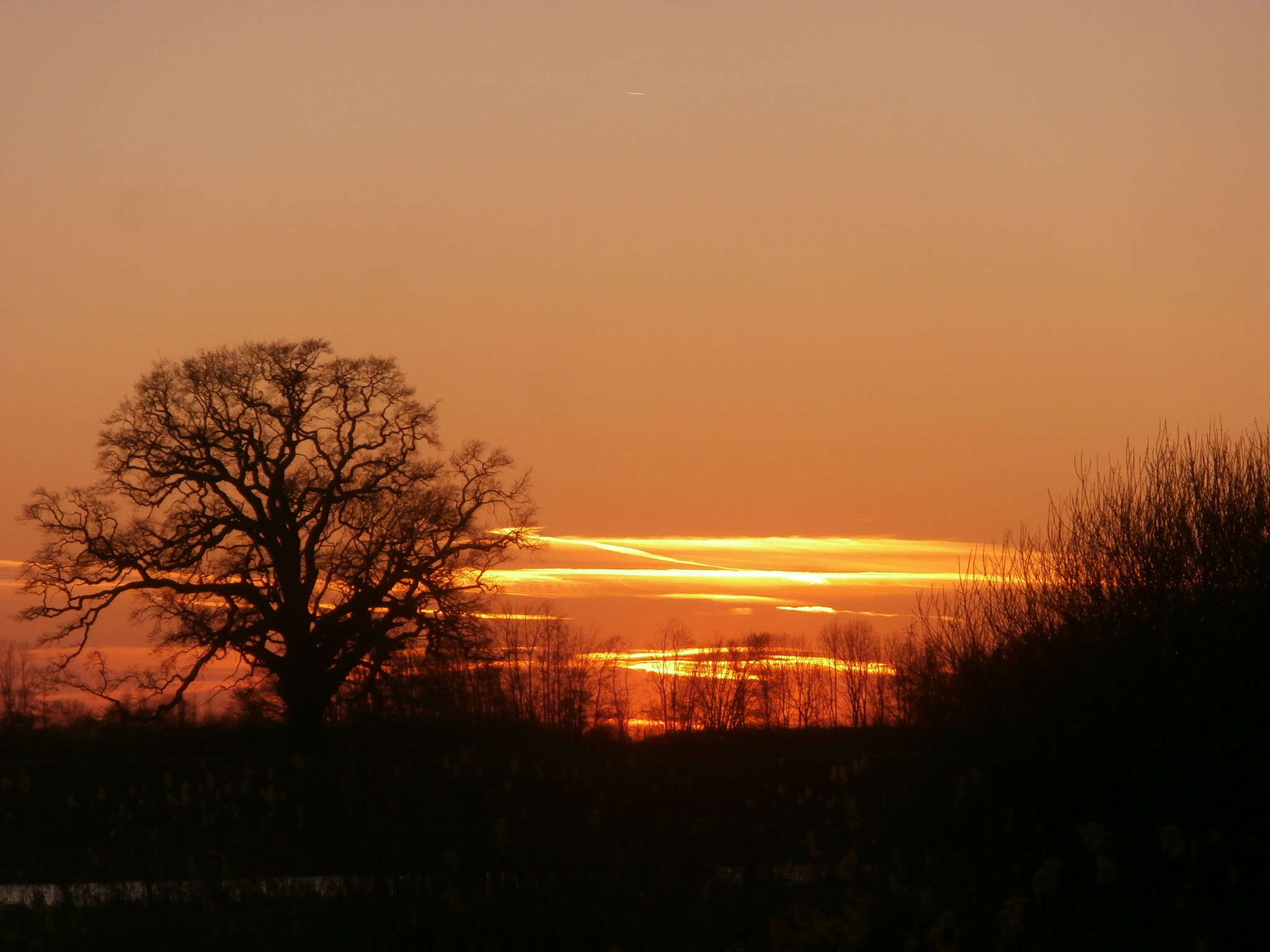 Olympus VR340,D750 sample photo. Sunset over eldrik photography