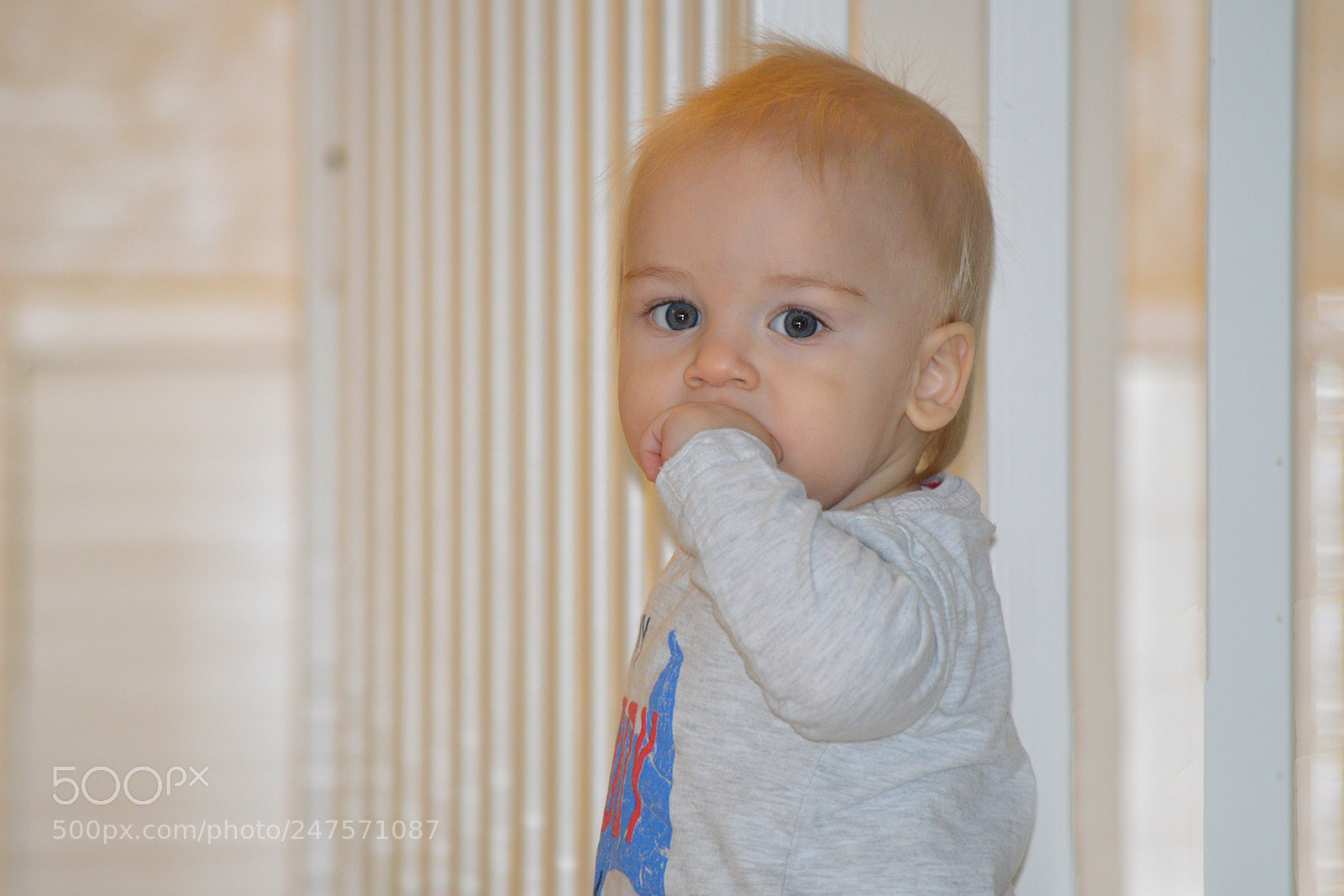 Nikon D3200 sample photo. Two blue eyes photography