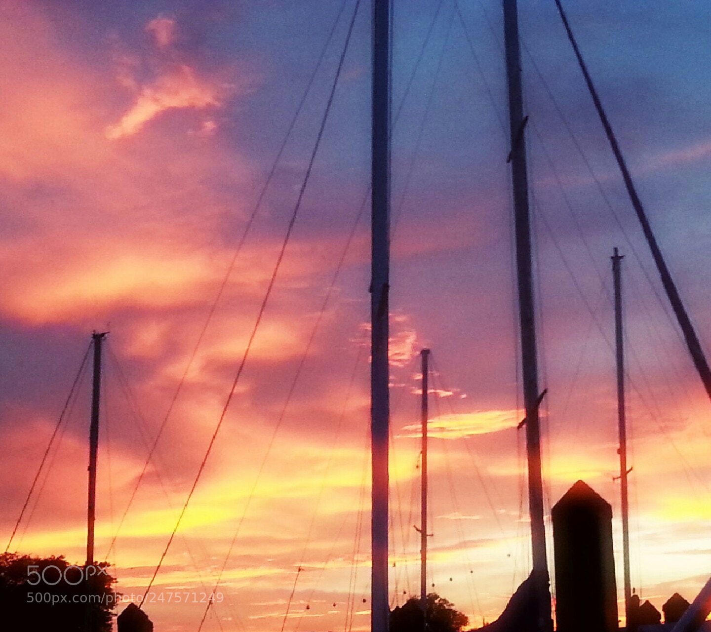 Samsung Galaxy S3 sample photo. Untitled photography