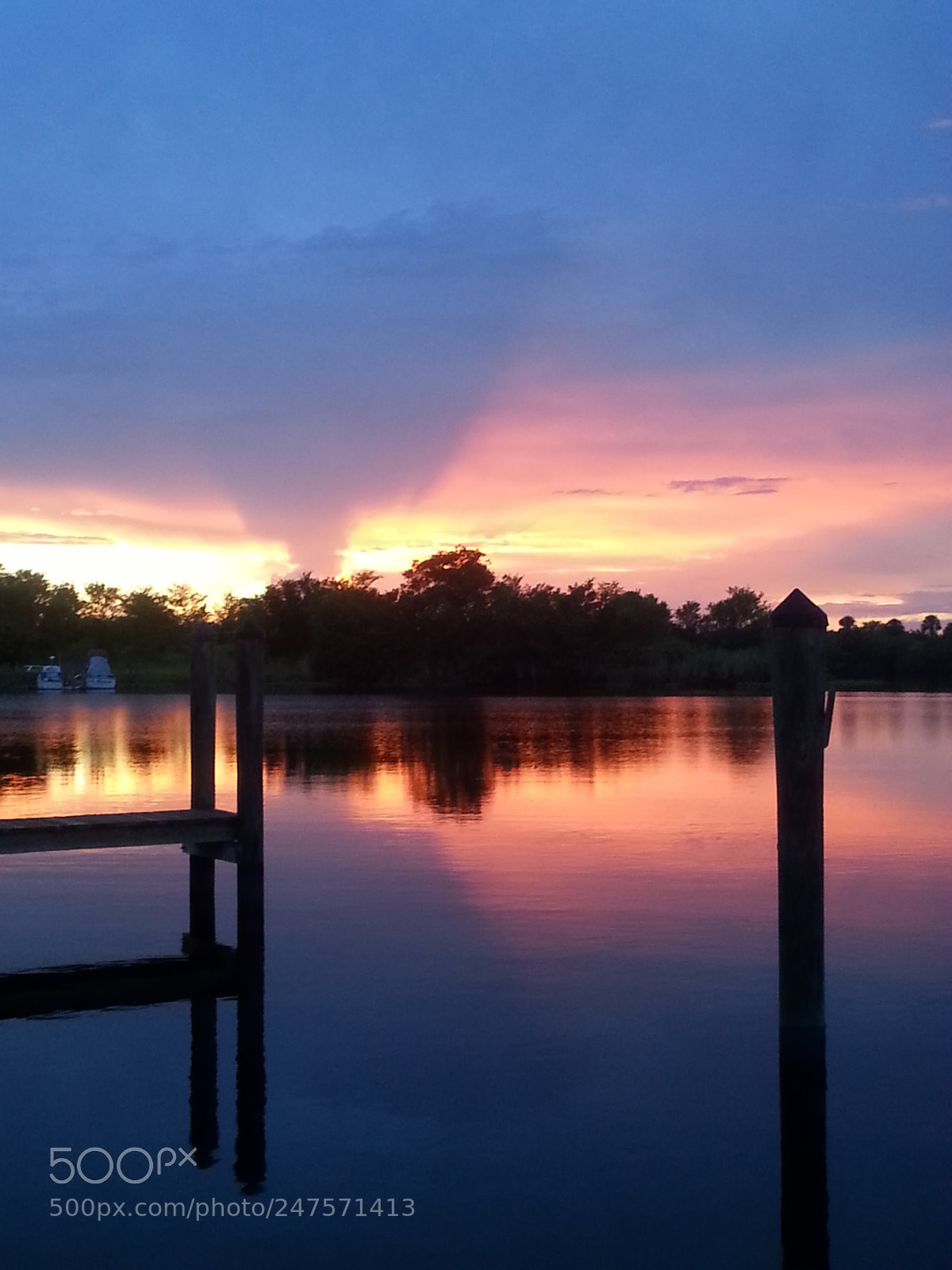 Samsung Galaxy S3 sample photo. Untitled photography