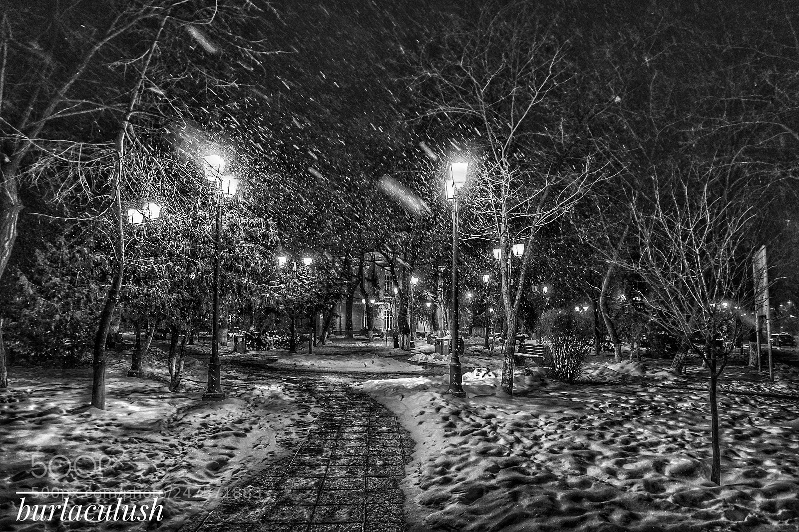 Sony Alpha a5000 (ILCE 5000) sample photo. Untitled photography