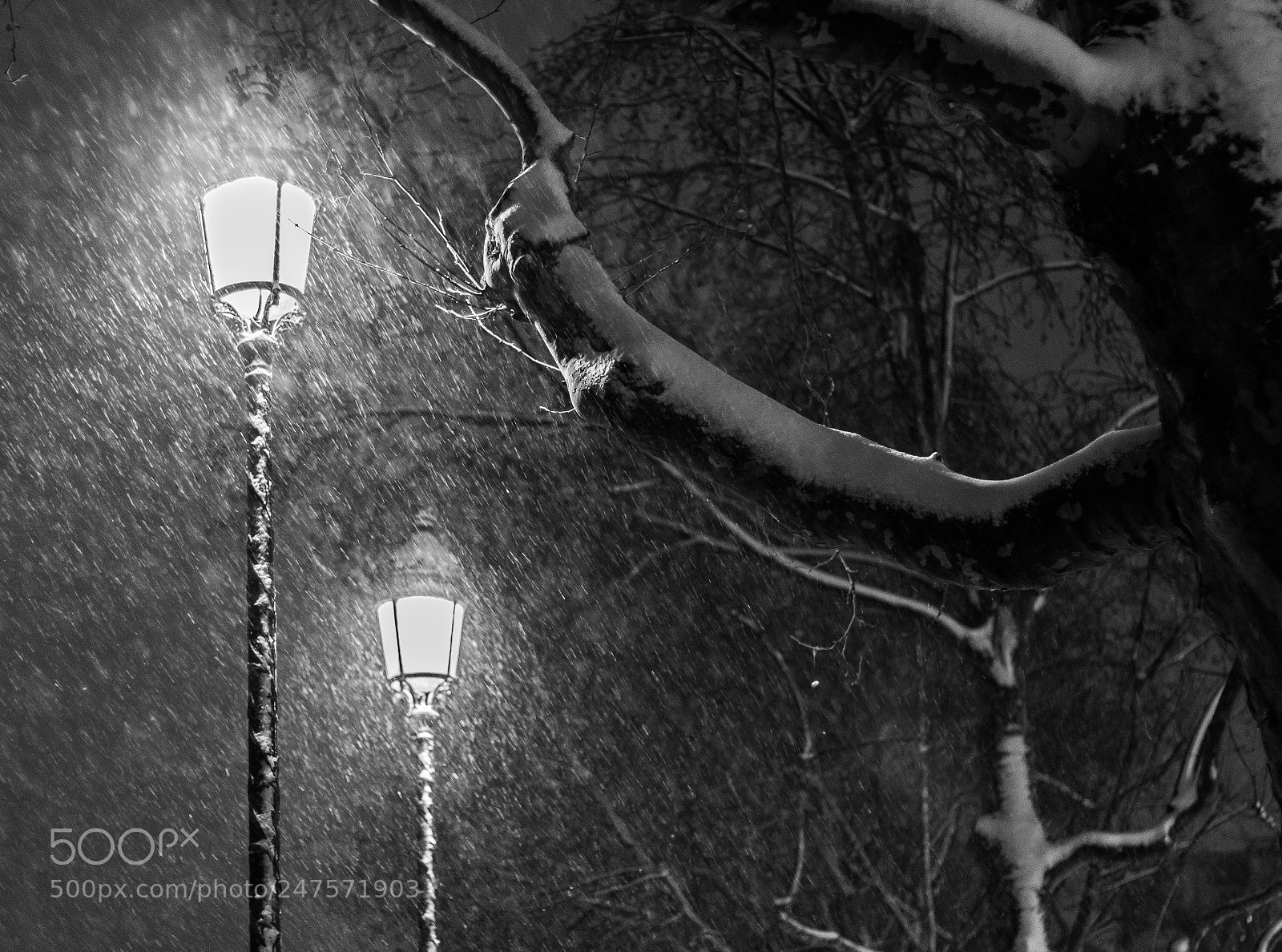Canon EOS 80D sample photo. Snow storm photography
