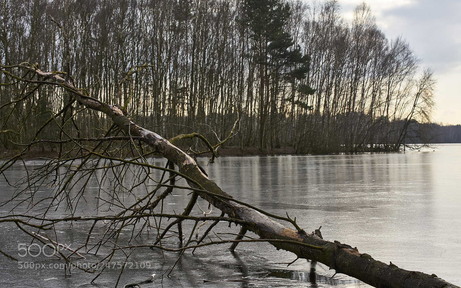 Sony a7R II sample photo. Altwarmbüchen 3 photography