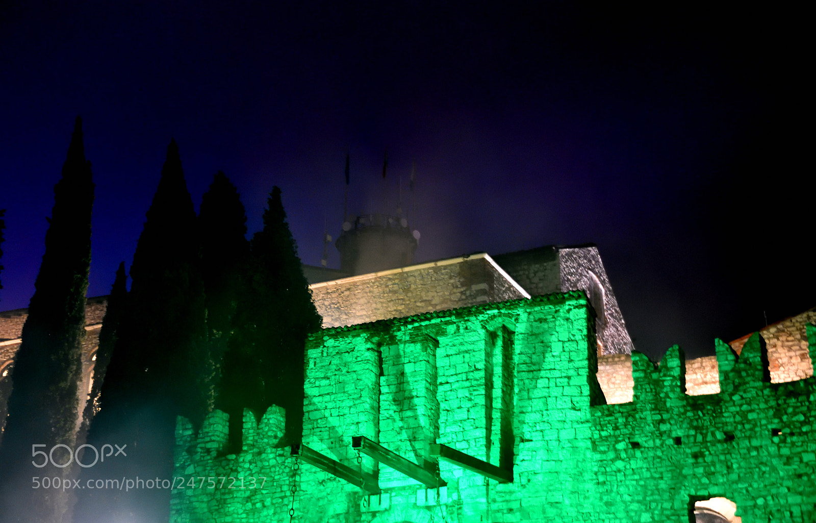 Nikon D3400 sample photo. Green wall photography