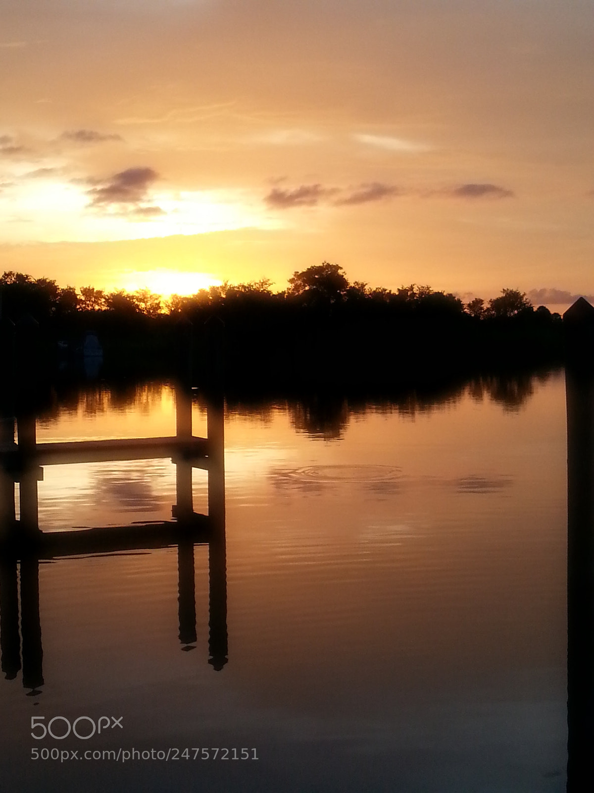 Samsung Galaxy S3 sample photo. Untitled photography