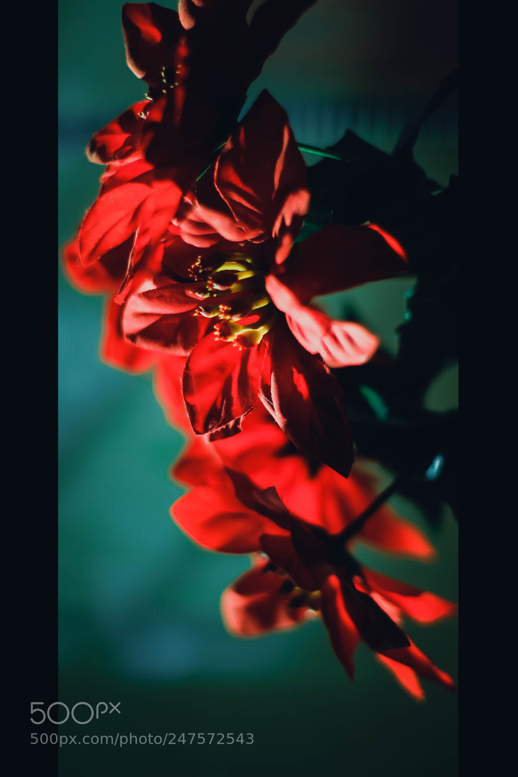 Canon EOS 700D (EOS Rebel T5i / EOS Kiss X7i) sample photo. Beautiful one day, perfect photography