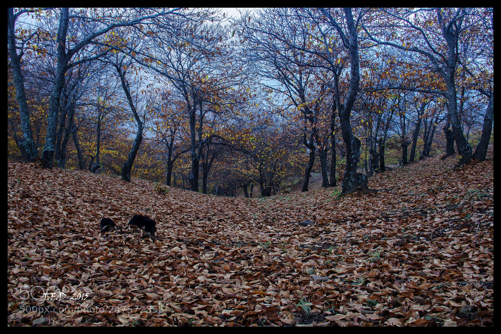Canon EOS 60D sample photo. Ruta de los casta photography