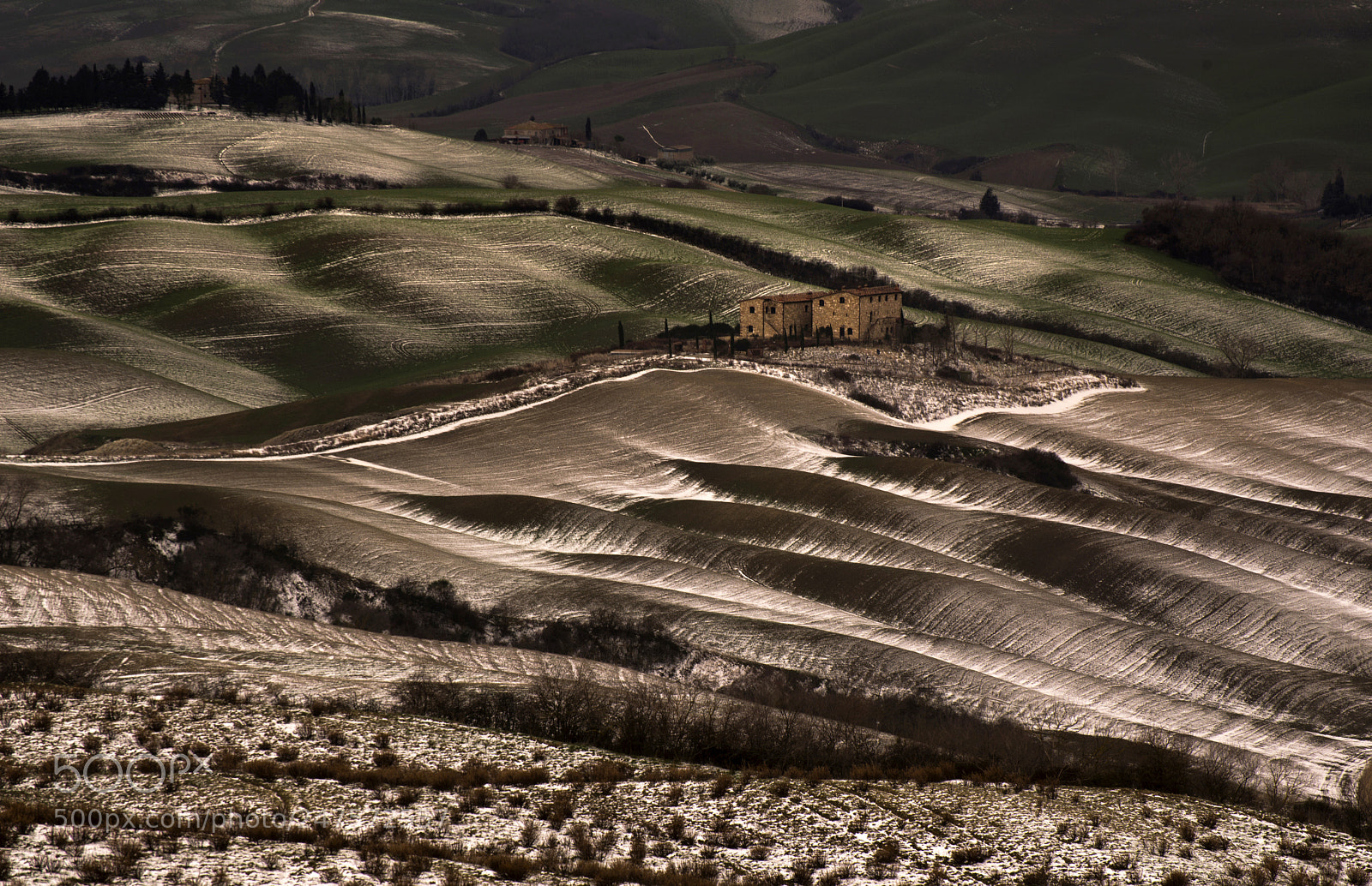 Nikon D610 sample photo. Terra di siena photography