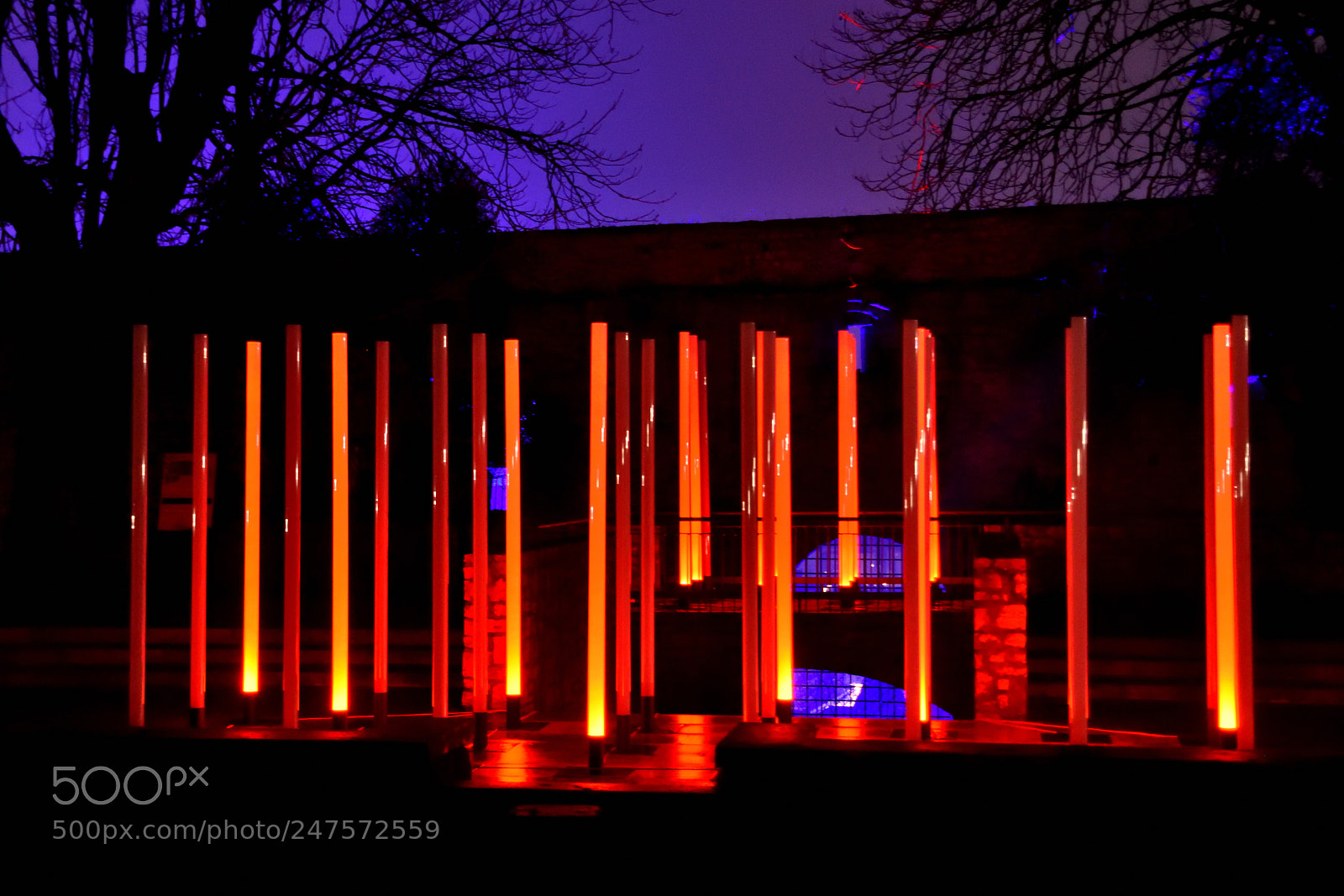Nikon D3400 sample photo. Orange columns photography