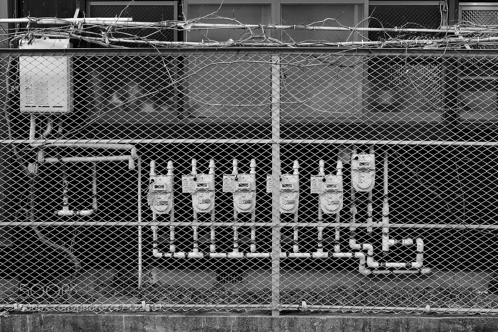 Fujifilm X-E2 sample photo. A pen x-e2 photography