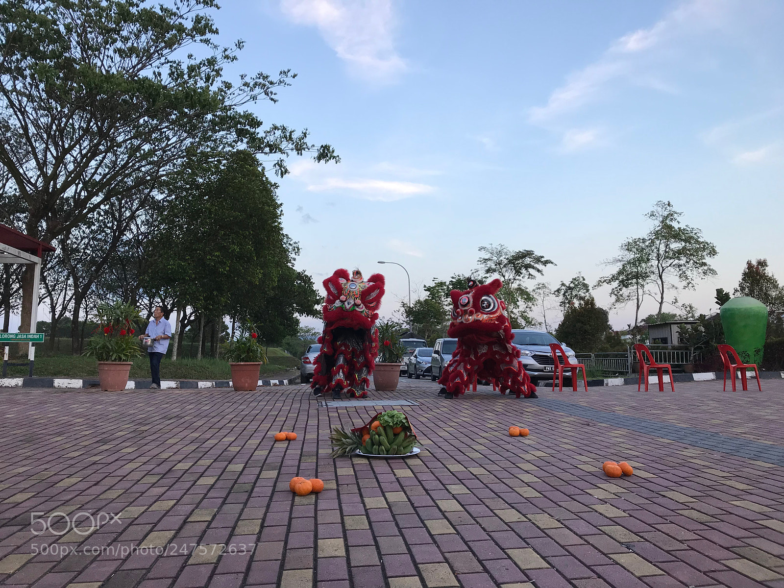 Apple iPhone 7 Plus sample photo. Baby lion dance photography