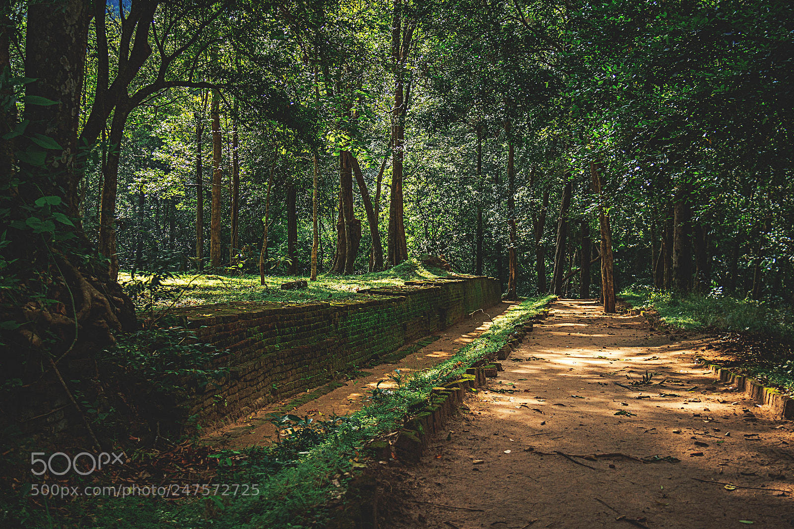 Canon EOS 600D (Rebel EOS T3i / EOS Kiss X5) sample photo. Dakkinagiriya, dambulla, sri lanka #5 photography