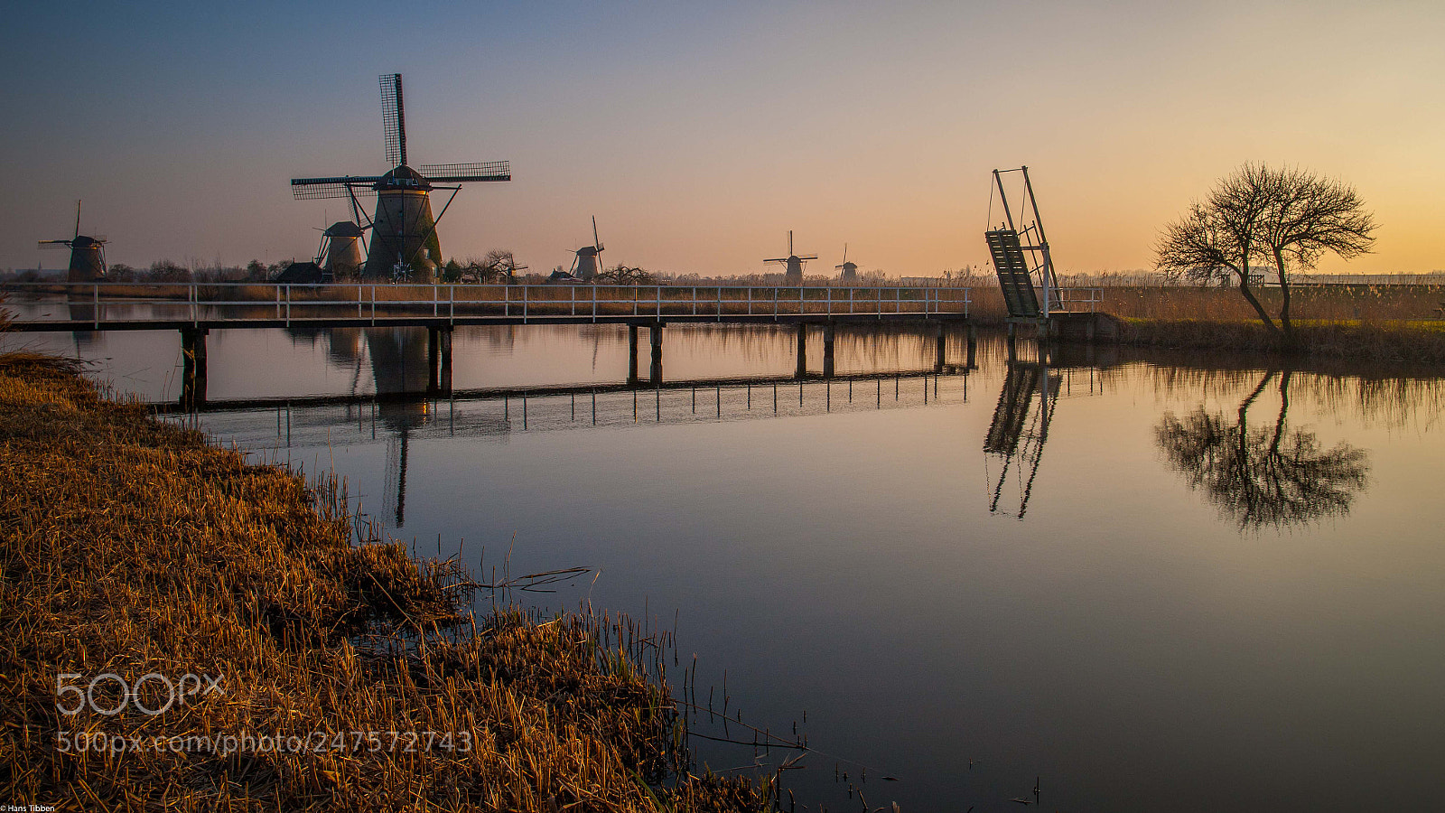 Canon EOS-1Ds Mark III sample photo. Mills in holland photography