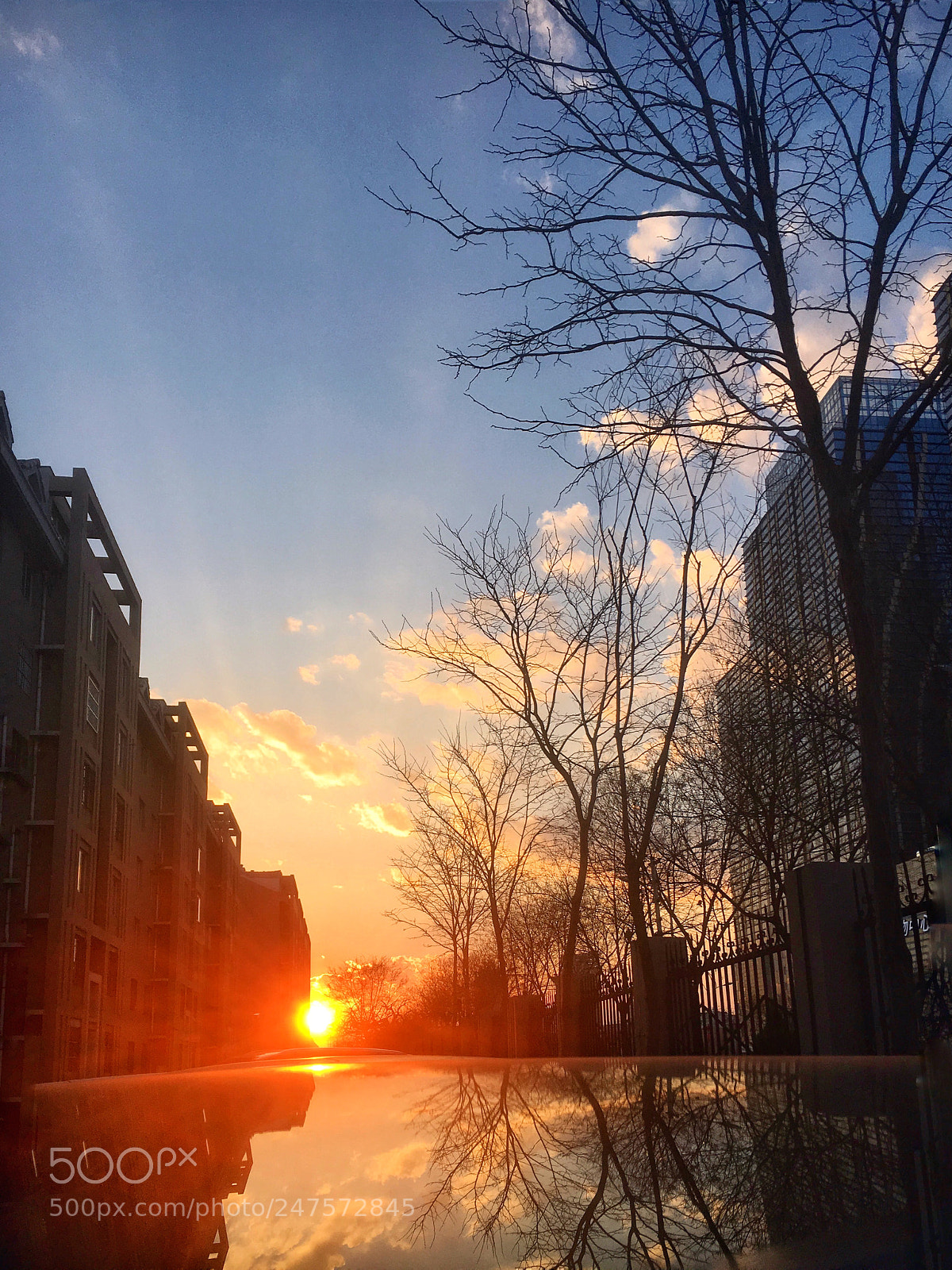 Apple iPhone 6s sample photo. Untitled photography