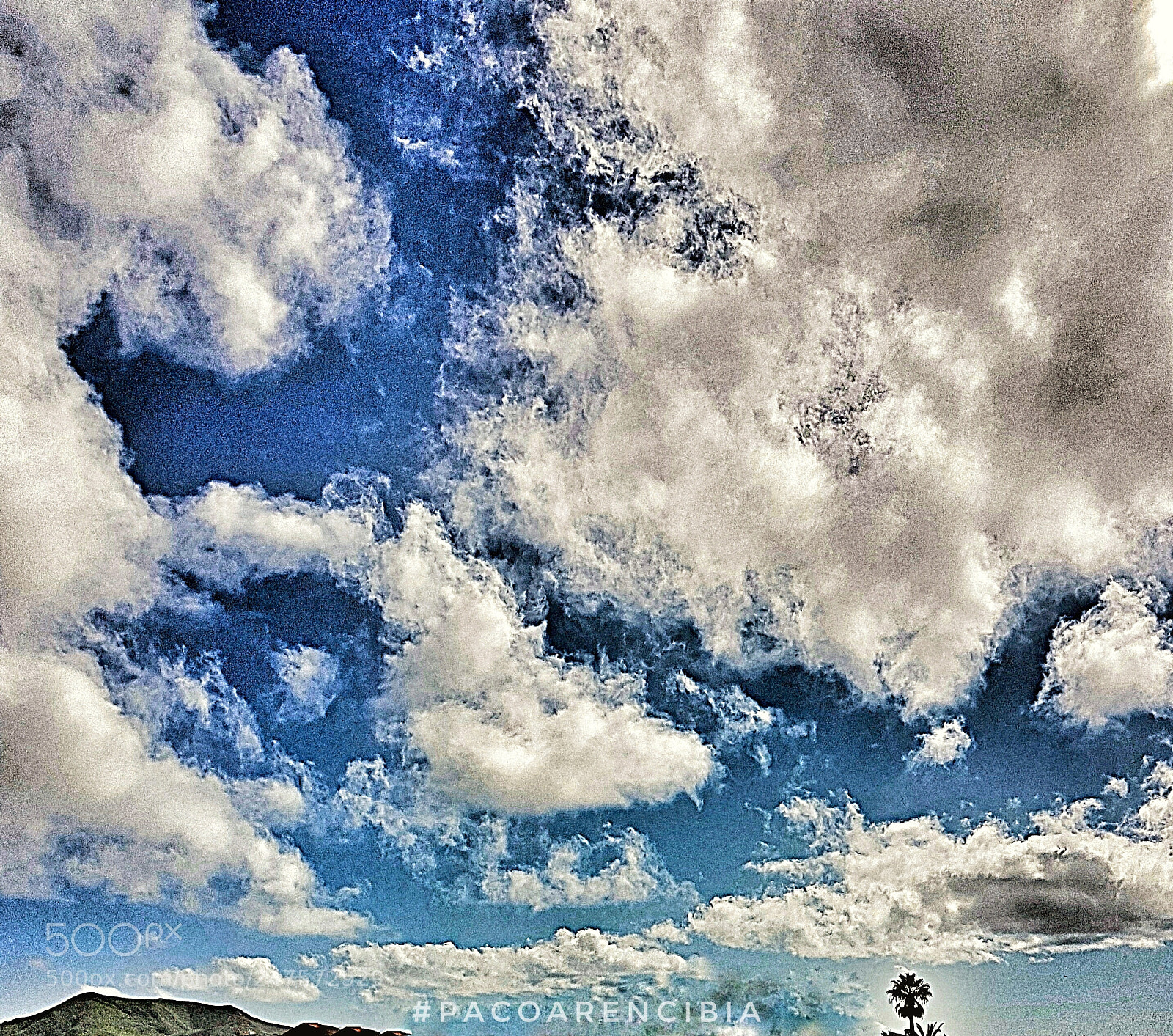 Samsung Galaxy S8+ sample photo. Untitled photography