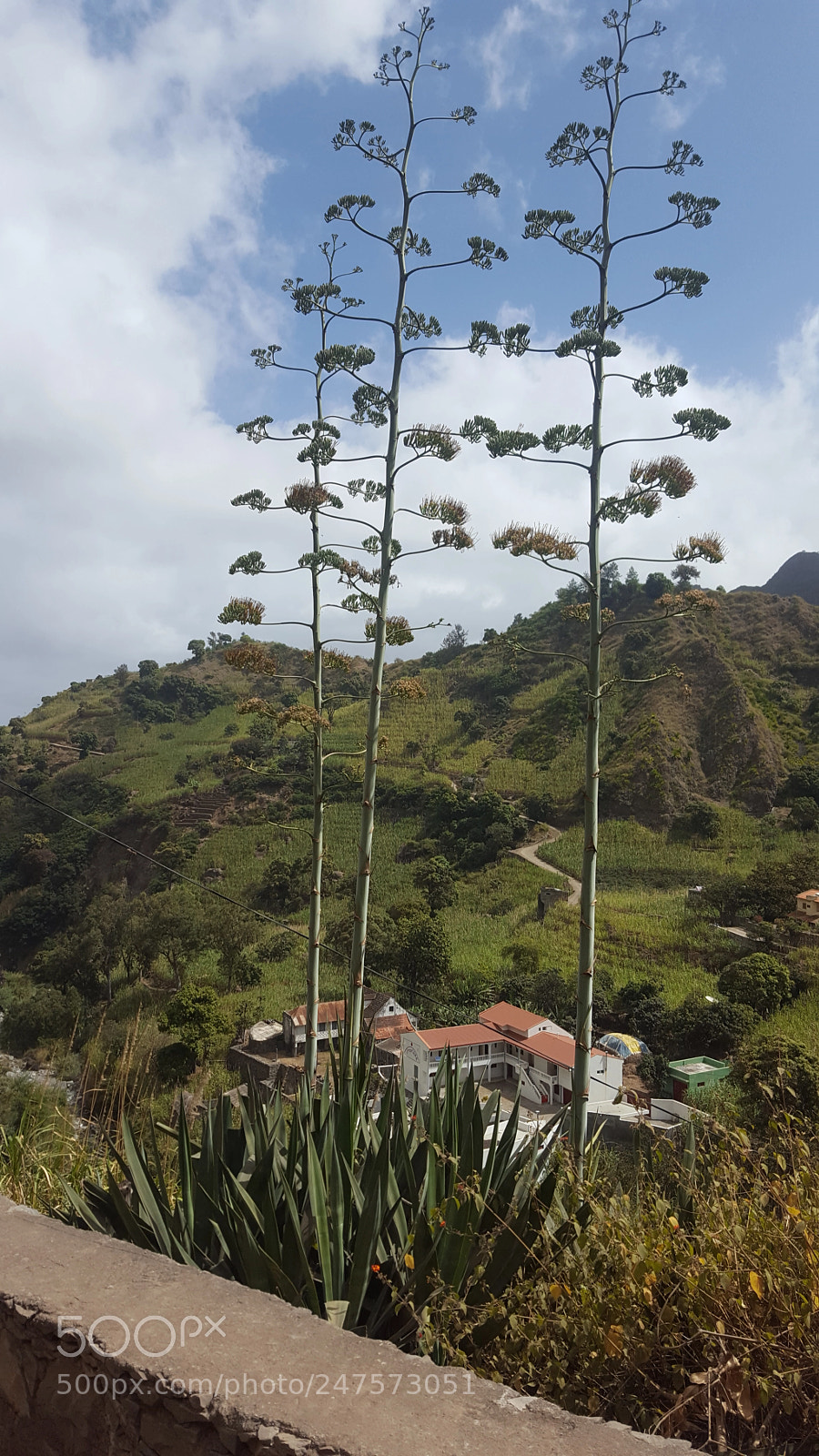 Samsung Galaxy S6 sample photo. Cape verde, santo antao photography