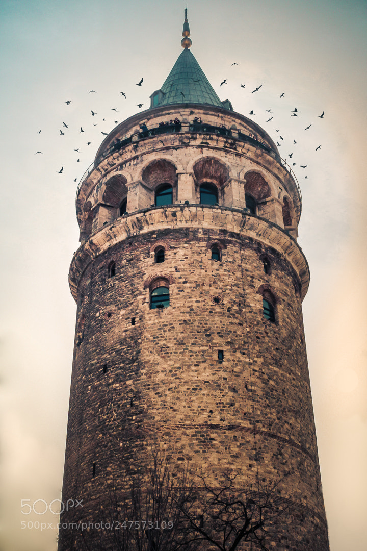 Canon EOS 450D (EOS Rebel XSi / EOS Kiss X2) sample photo. Galata tower,İstanbul photography
