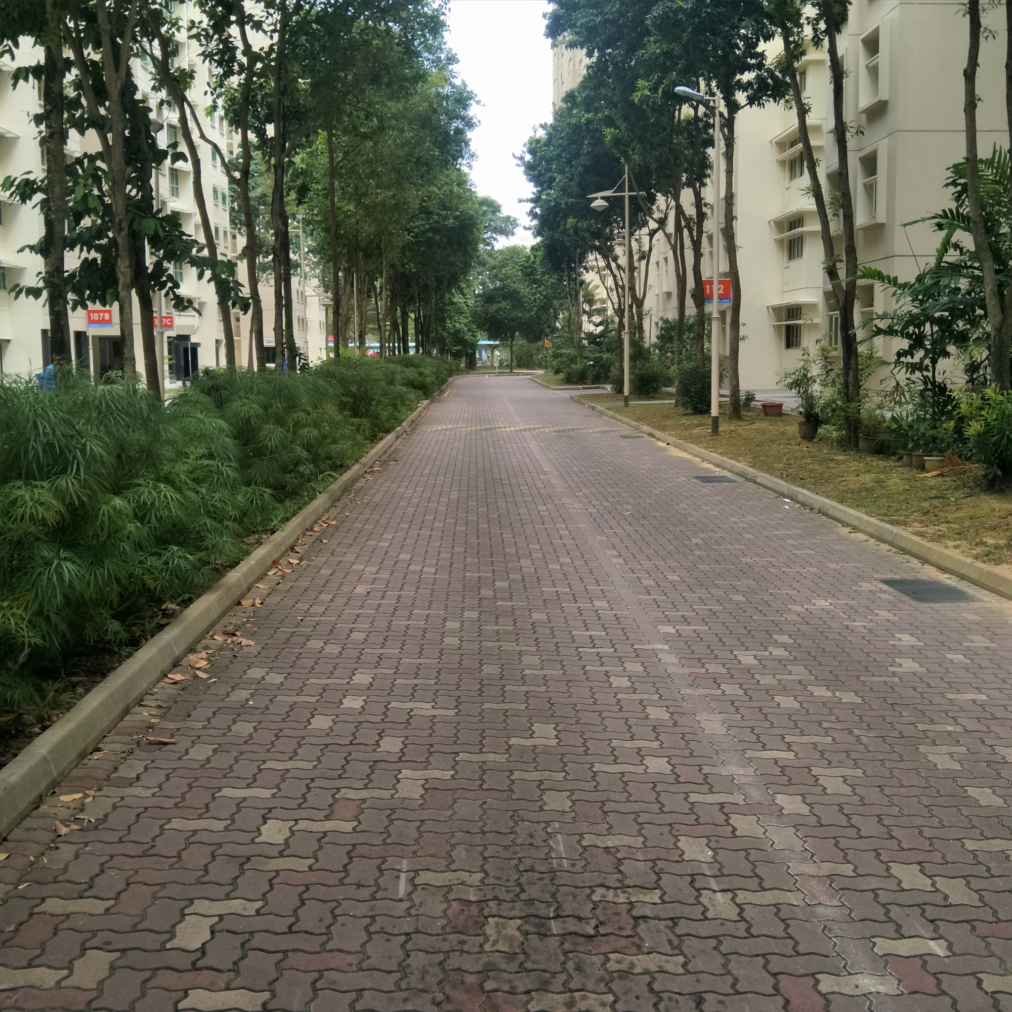 OPPO R9S sample photo