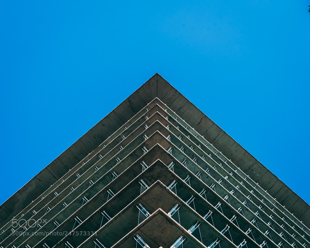 Nikon D610 sample photo. Triangular photography