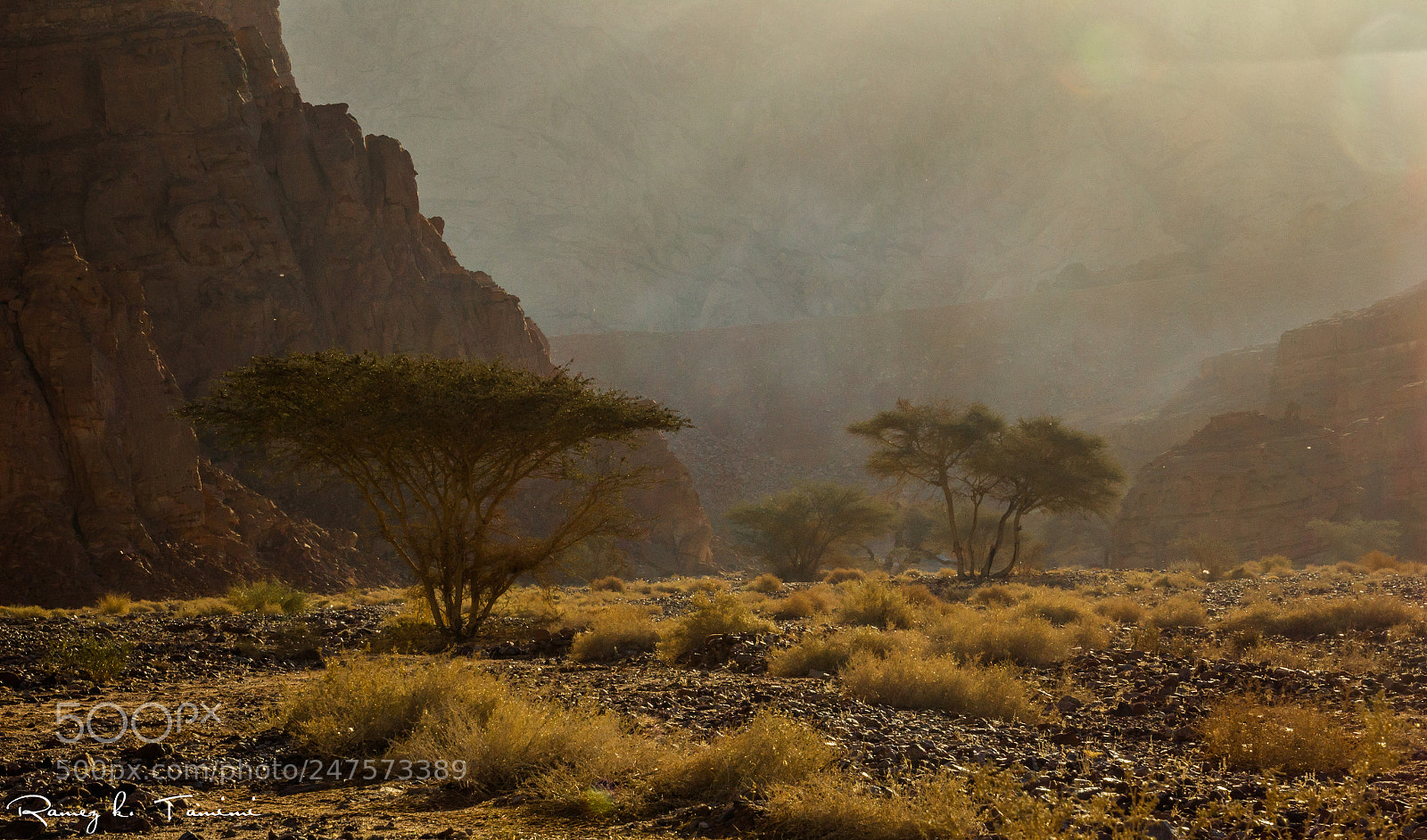 Canon EOS 600D (Rebel EOS T3i / EOS Kiss X5) sample photo. Wadi araba photography