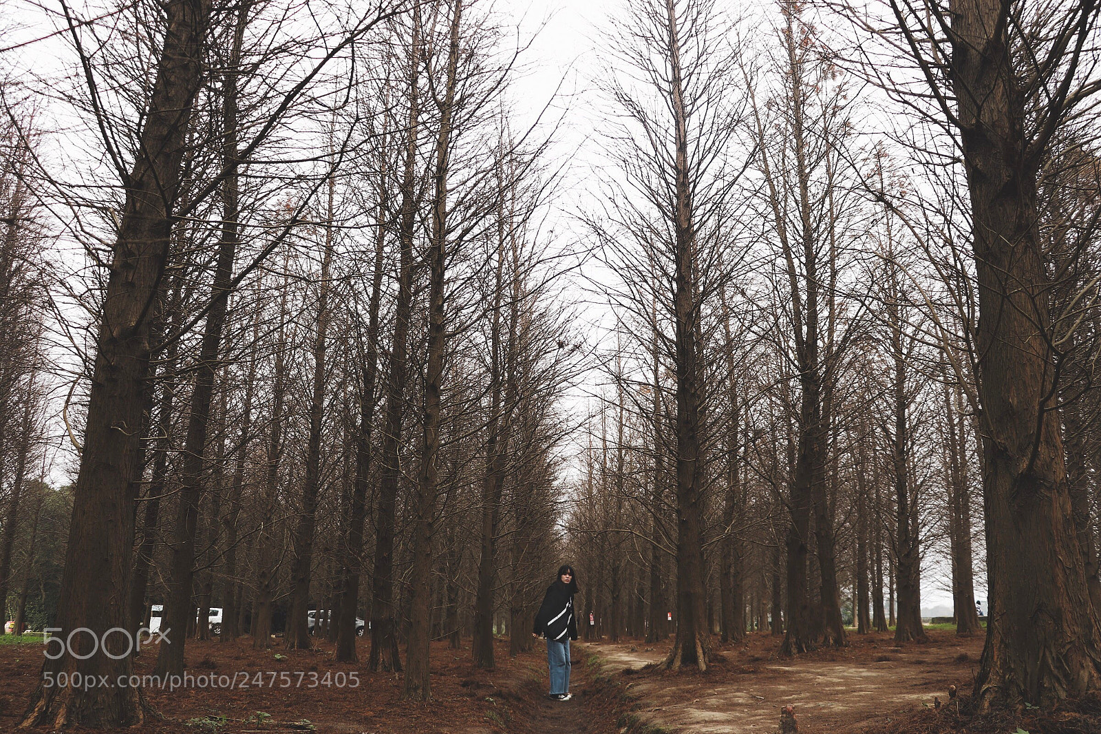 Canon EOS 77D (EOS 9000D / EOS 770D) sample photo. Taiwan photography