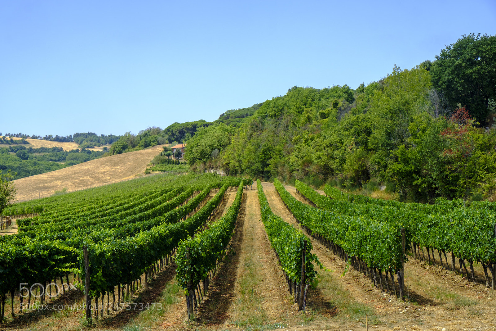 Fujifilm X-T2 sample photo. Summer landscape near chianciano photography