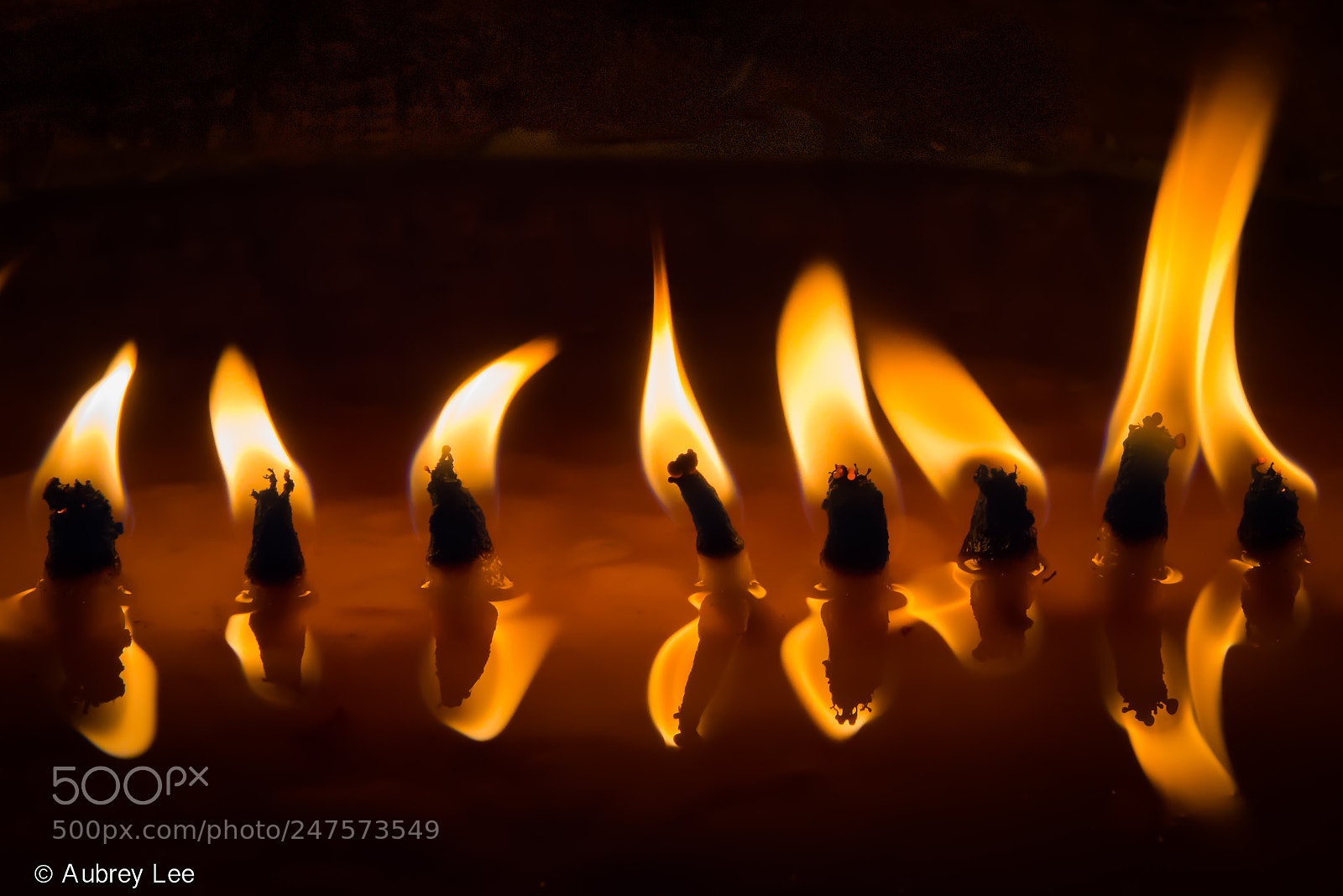 Nikon D610 sample photo. Relight my fire photography