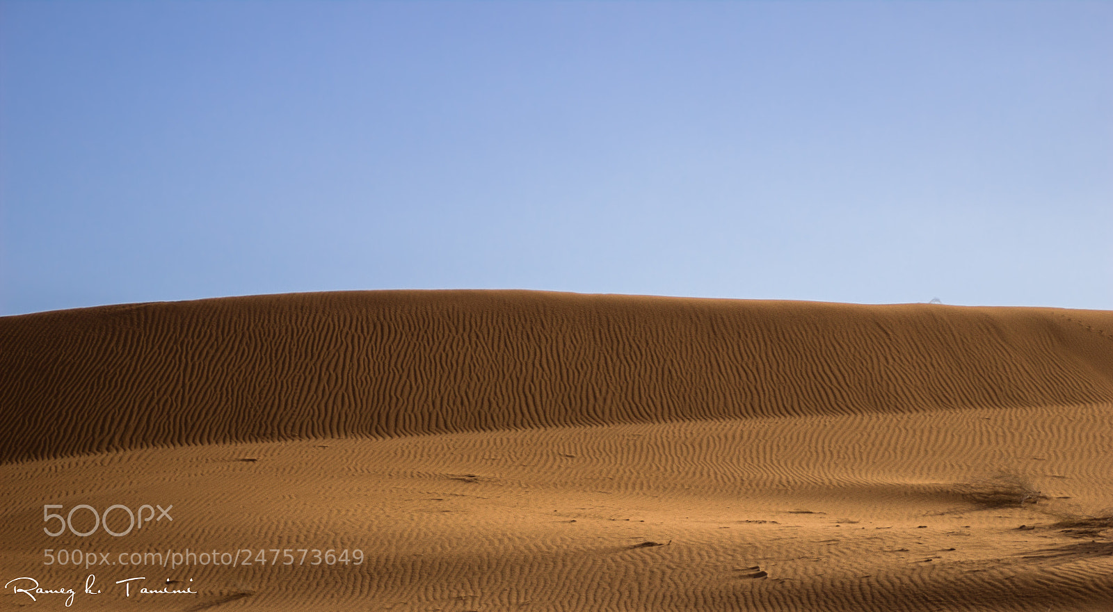 Canon EOS 600D (Rebel EOS T3i / EOS Kiss X5) sample photo. Dunes photography