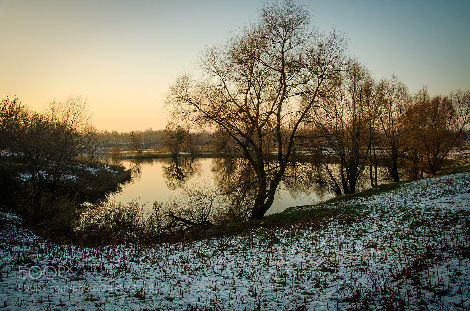Nikon D5100 sample photo. 293 photography