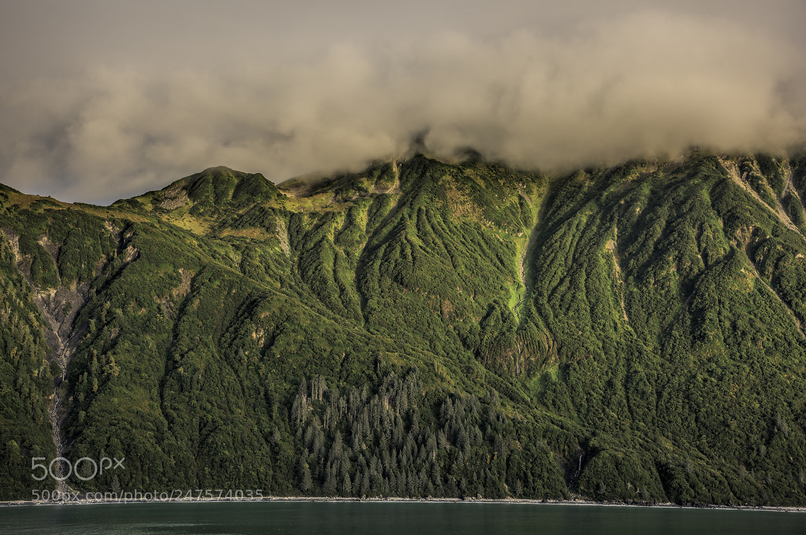 Nikon D810 sample photo. Disenchantment bay, alaska photography