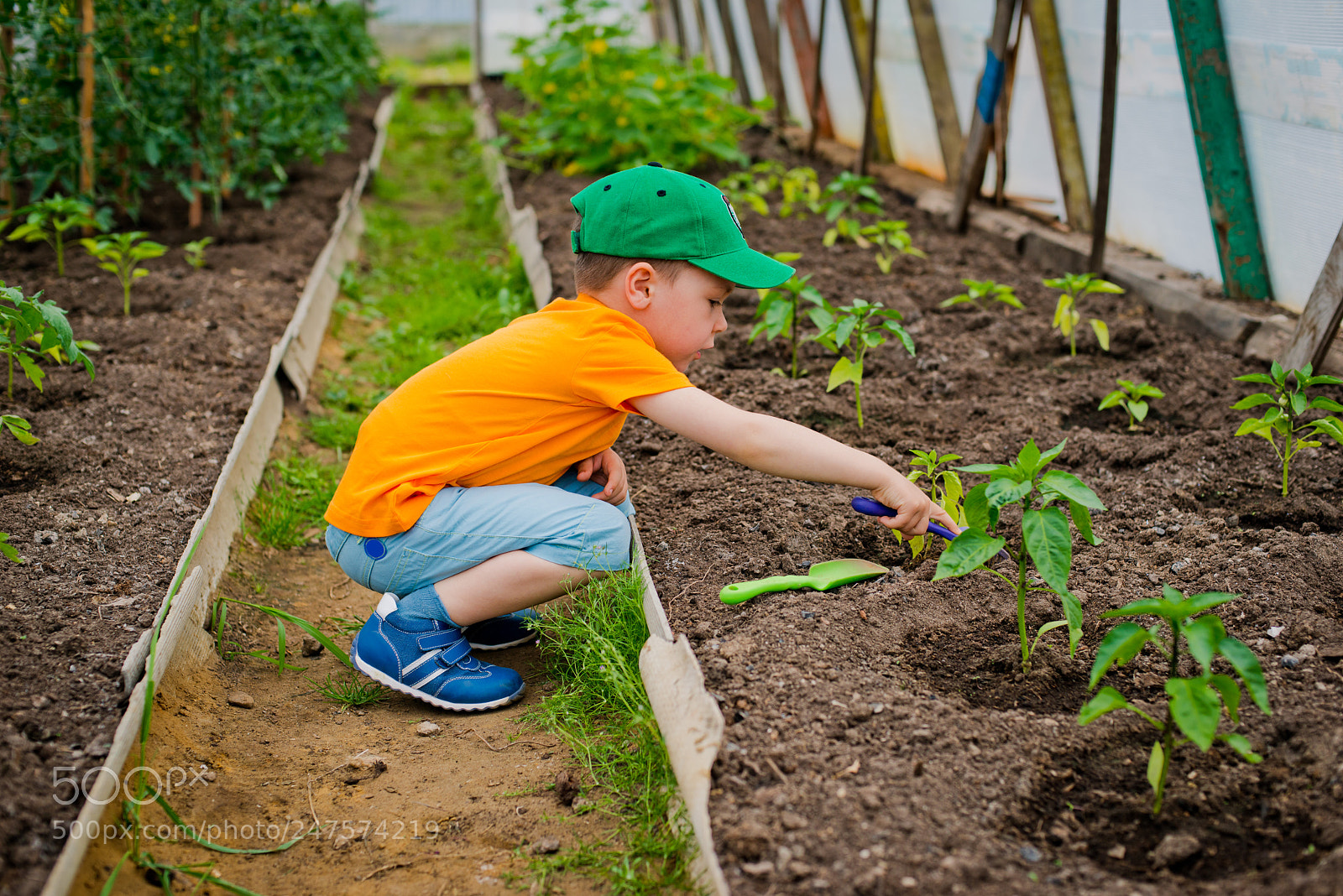 Nikon D800 sample photo. Child in the garden photography