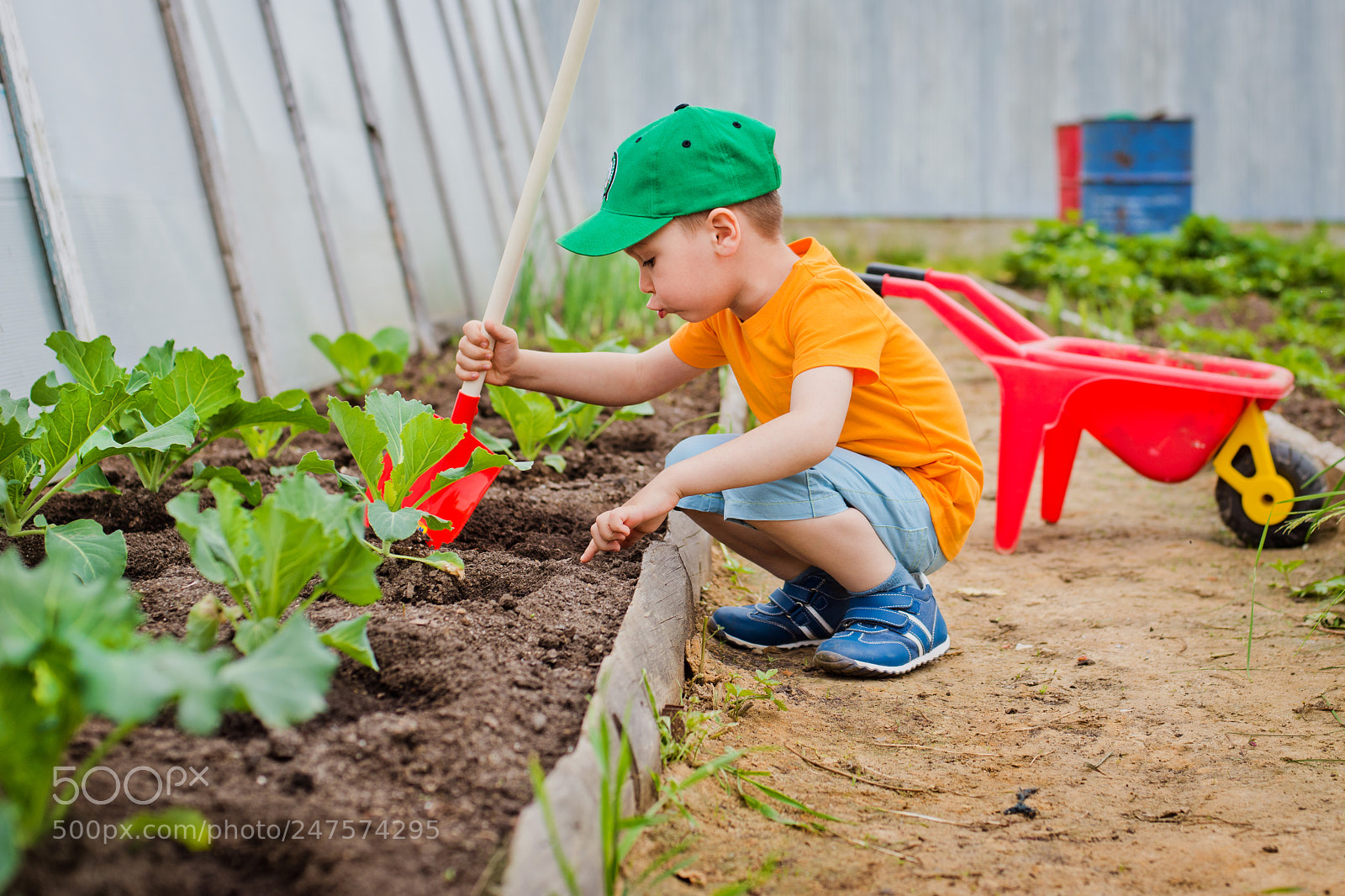 Nikon D800 sample photo. Child in the garden photography