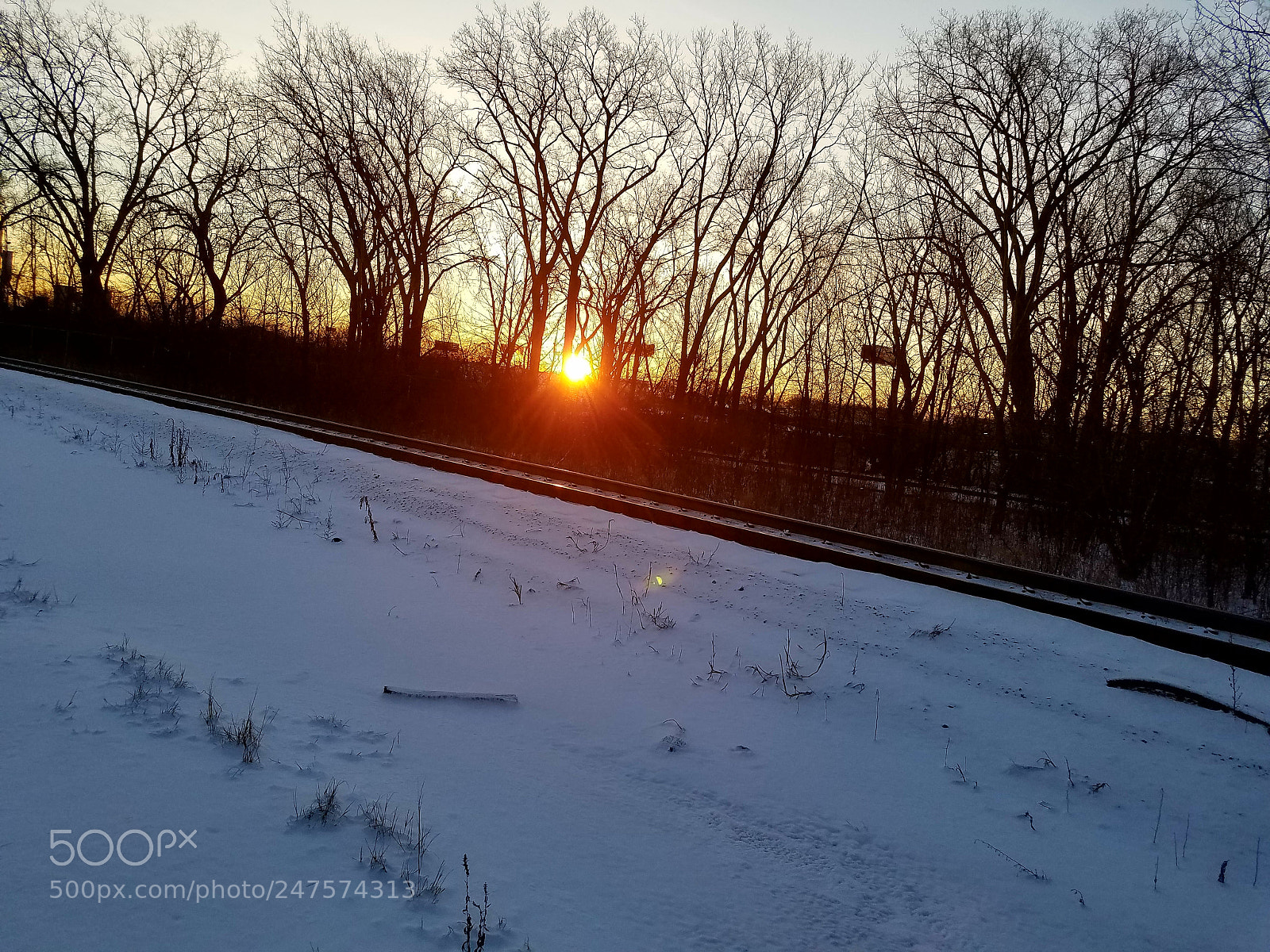 Samsung Galaxy S7 sample photo. Good morning photography