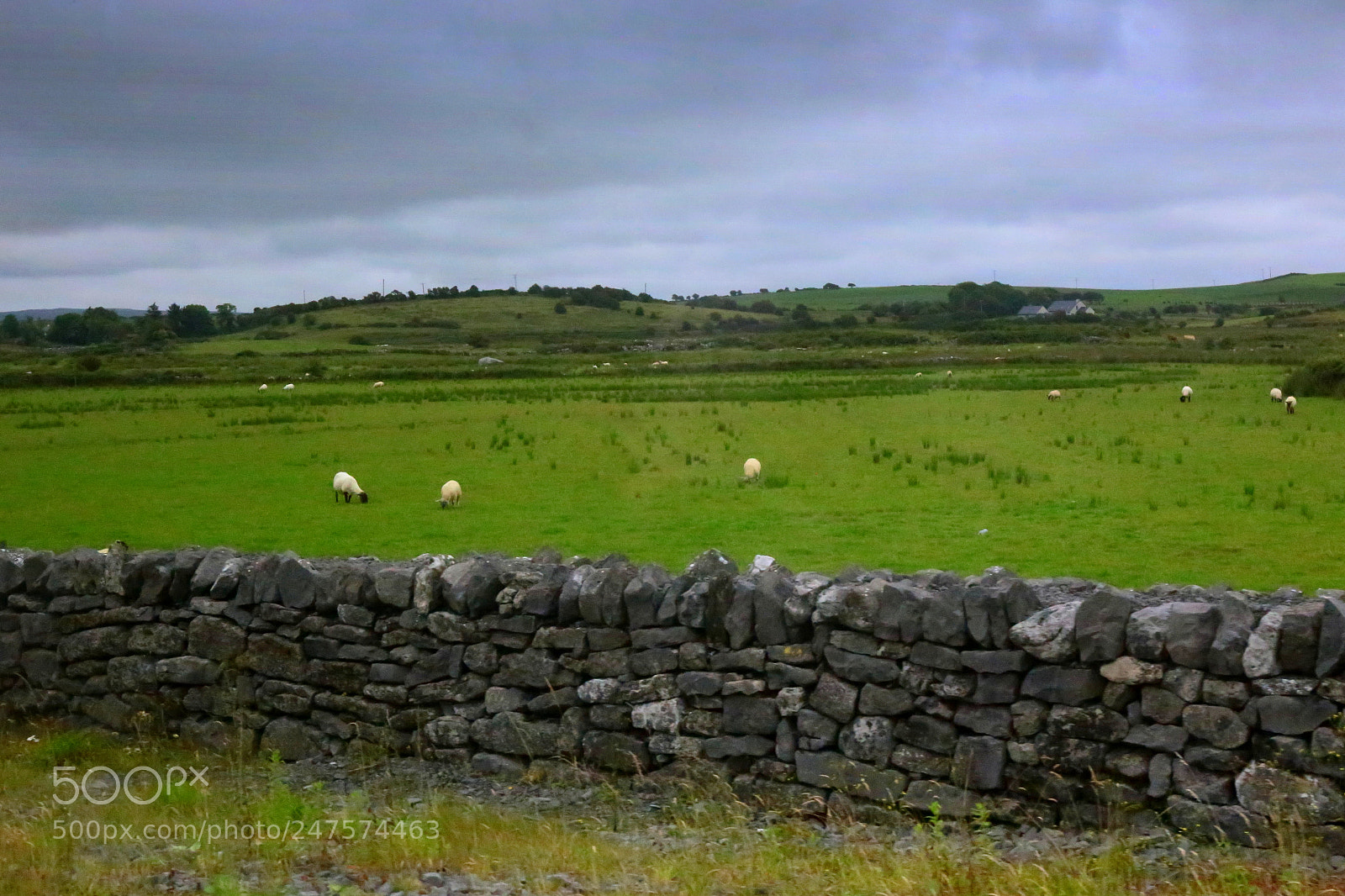 Canon EF 24-70mm F4L IS USM sample photo. Ireland photography