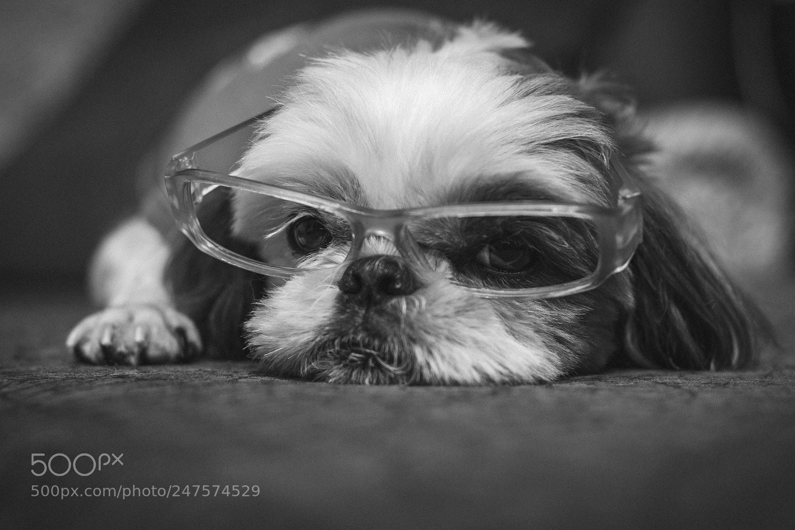 Nikon D800E sample photo. Untitled photography