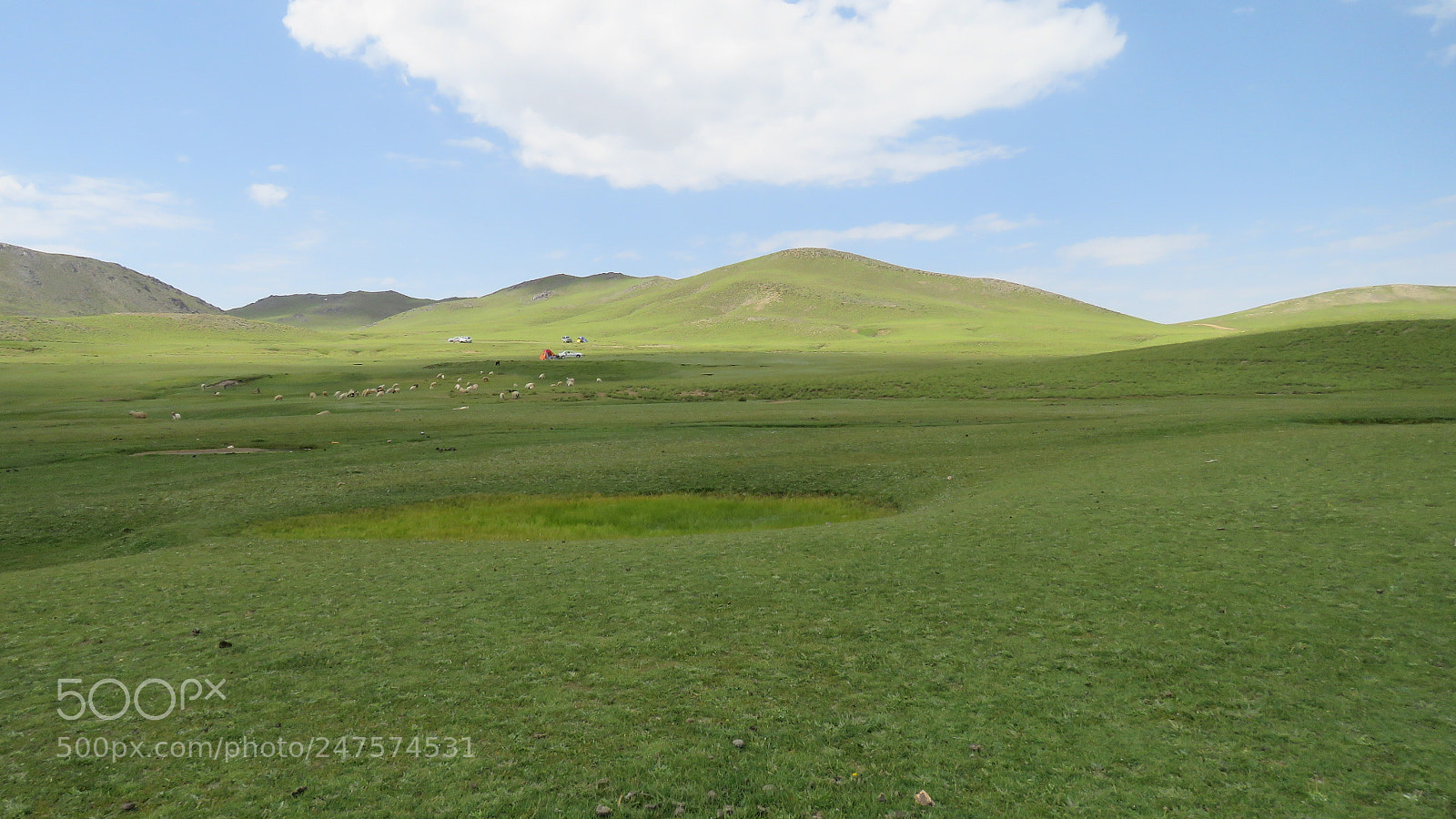 Canon PowerShot SX60 HS sample photo. Img photography