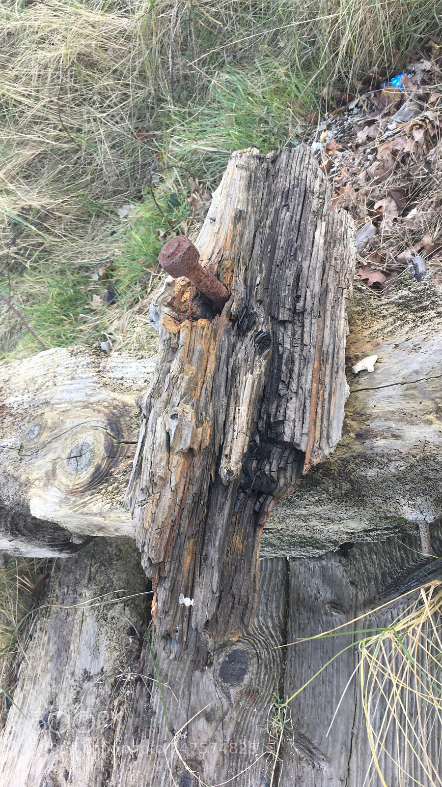 Apple iPhone 6s sample photo. Wood and rust love photography