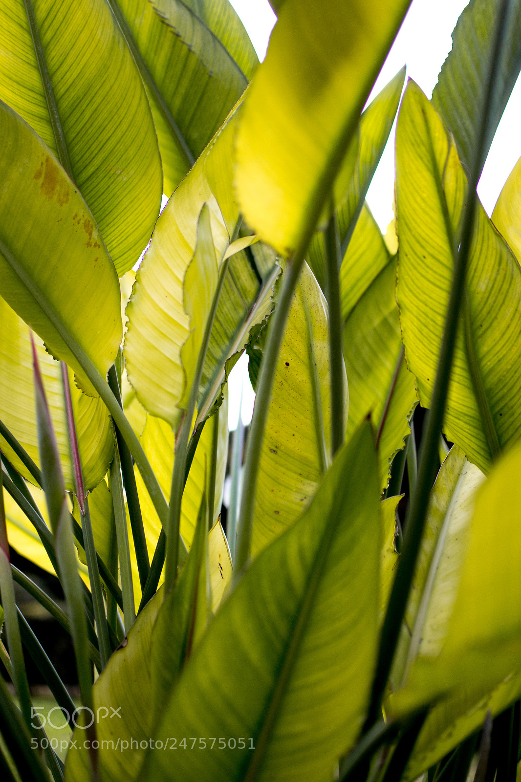 Nikon D3100 sample photo. Naturaleza salvaje photography