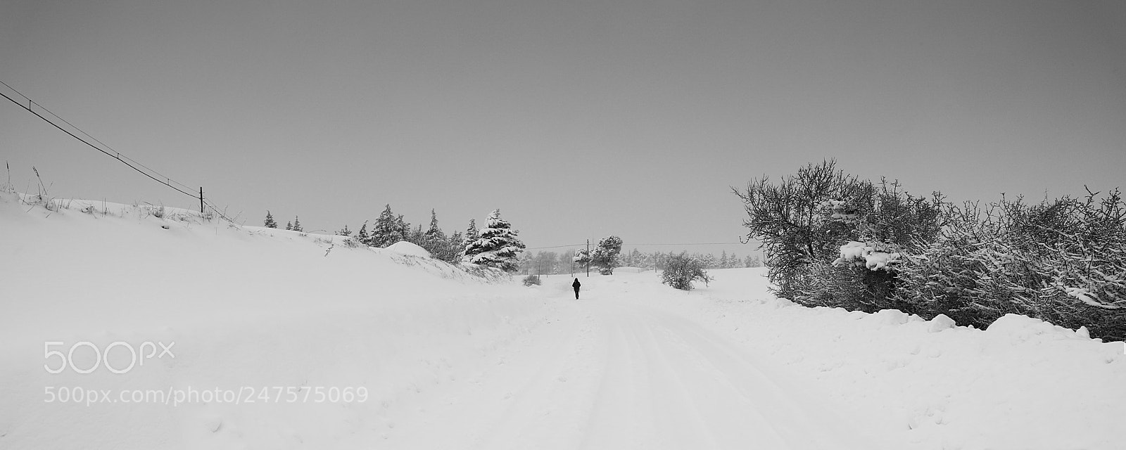 Canon EOS 6D Mark II sample photo. Walk in the snow photography