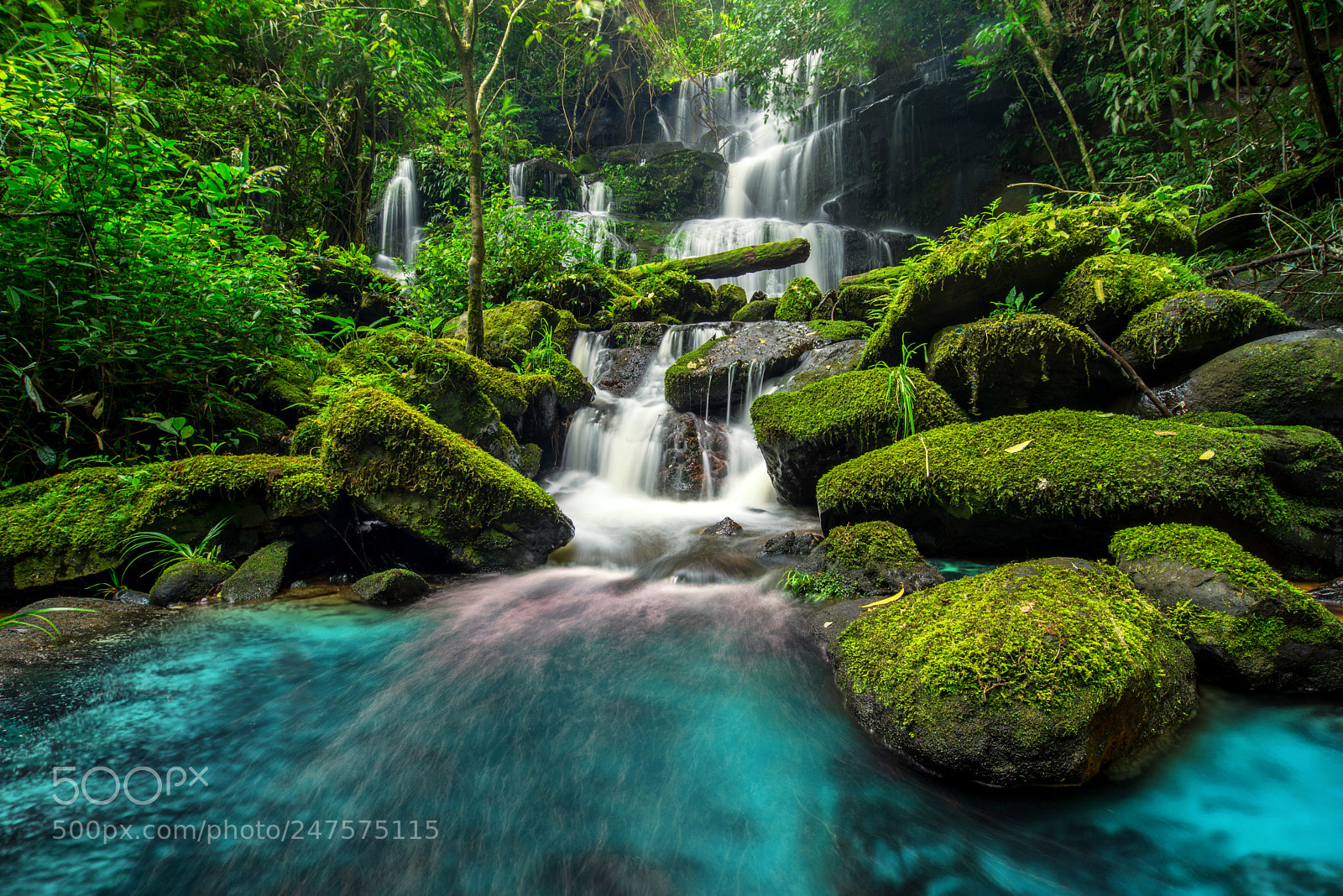 Nikon D600 sample photo. Beautiful waterfall in green photography