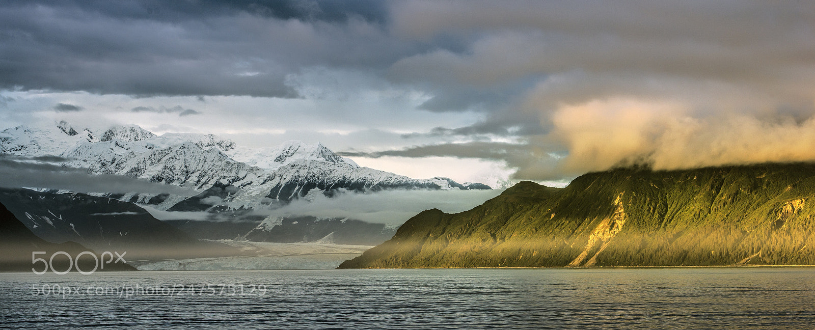 Nikon D810 sample photo. Disenchantment bay, alaska photography