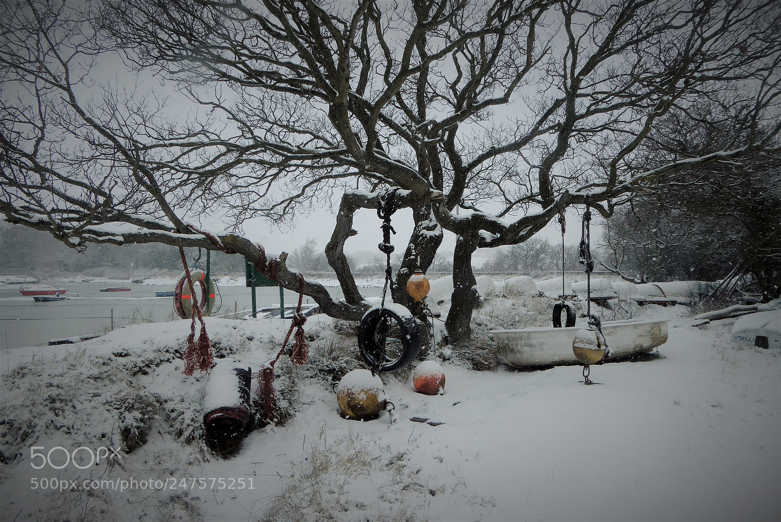 Panasonic Lumix DMC-ZS50 (Lumix DMC-TZ70) sample photo. Snow tree photography