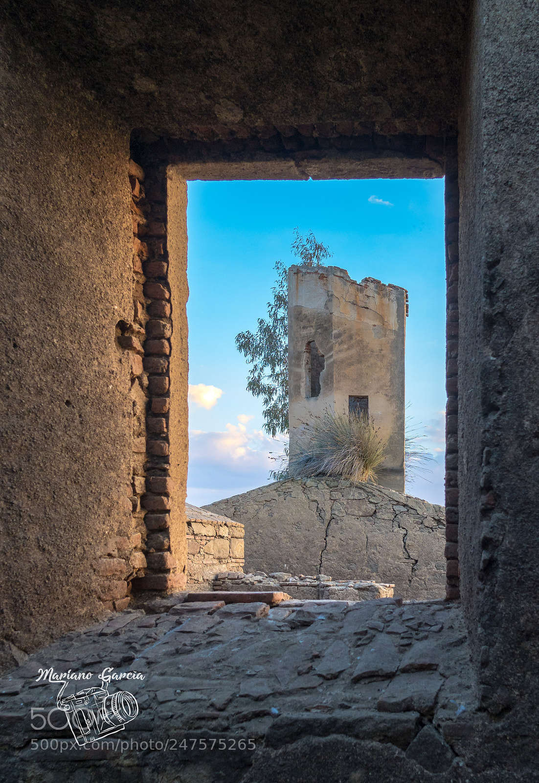 Olympus OM-D E-M1 Mark II sample photo. Old windows photography