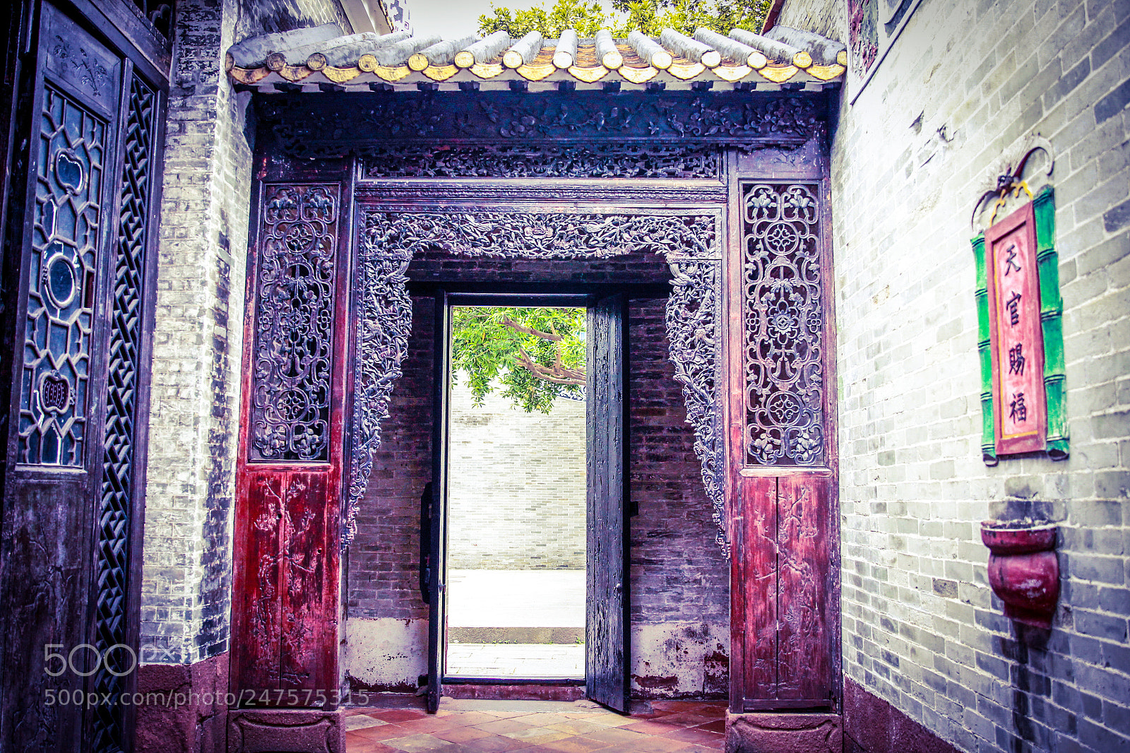 Canon EOS-1D Mark IV sample photo. Untitled photography