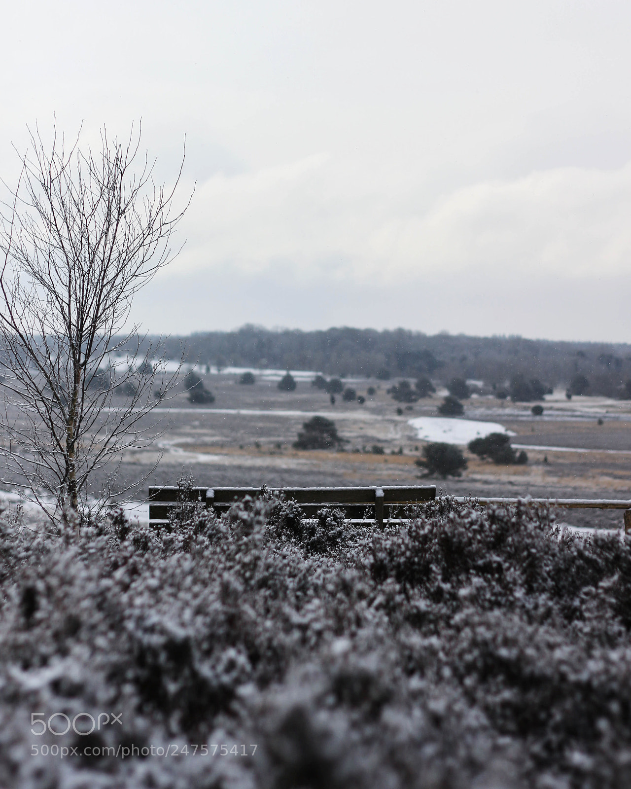 Canon EOS 700D (EOS Rebel T5i / EOS Kiss X7i) sample photo. Lüneburger heide photography