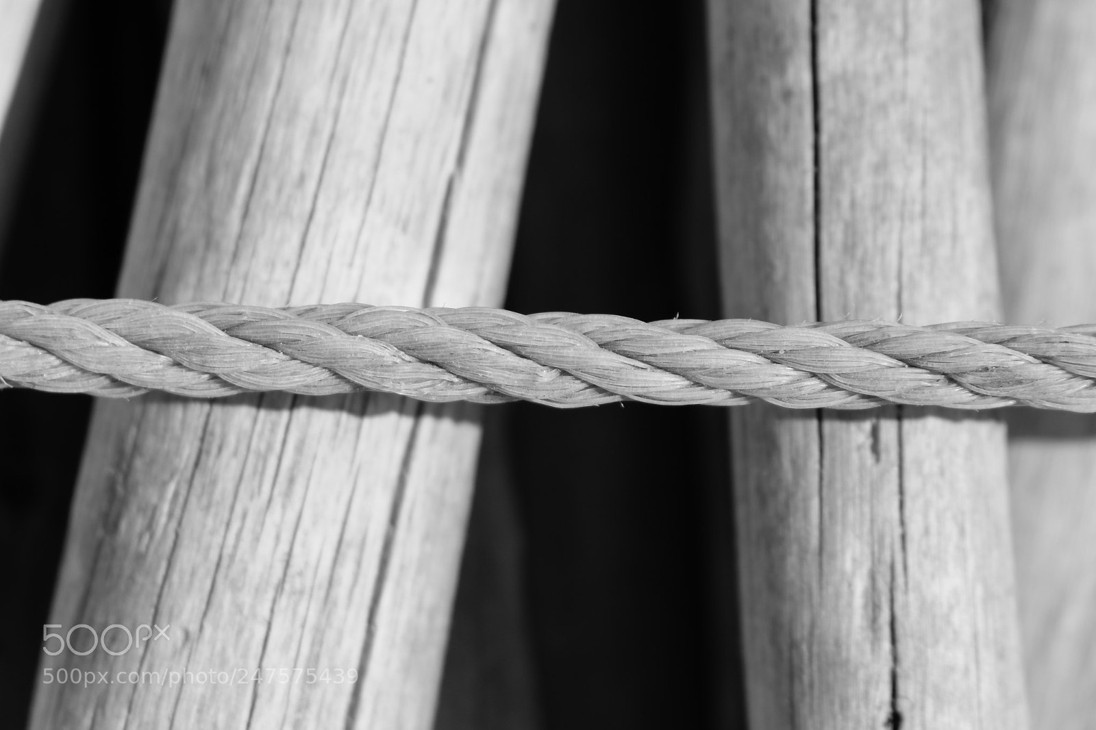 Canon EOS 80D sample photo. Rope _ b&w photography