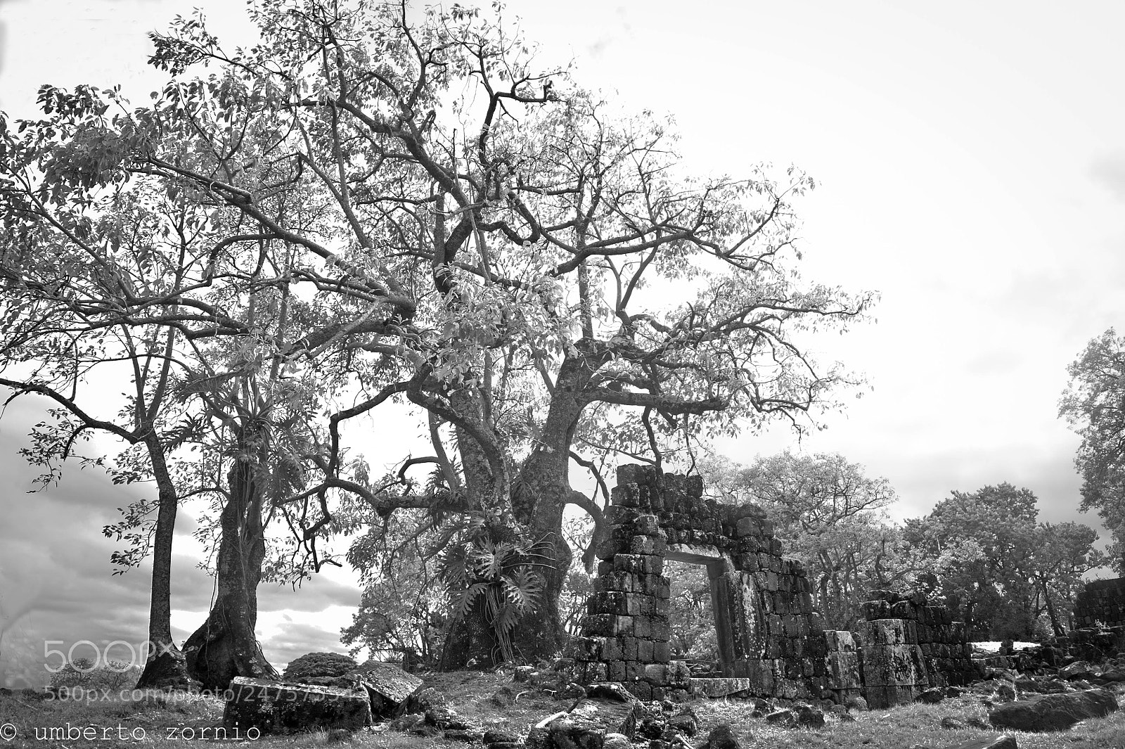 Nikon D700 sample photo. S o louren o photography