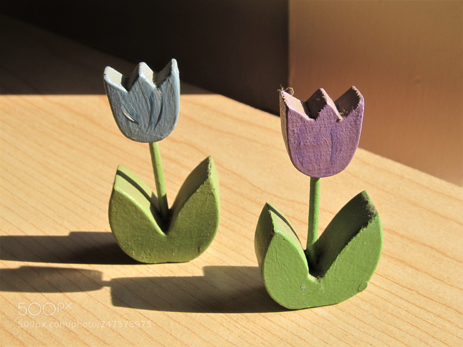 Canon PowerShot SX130 IS sample photo. Two tulips photography