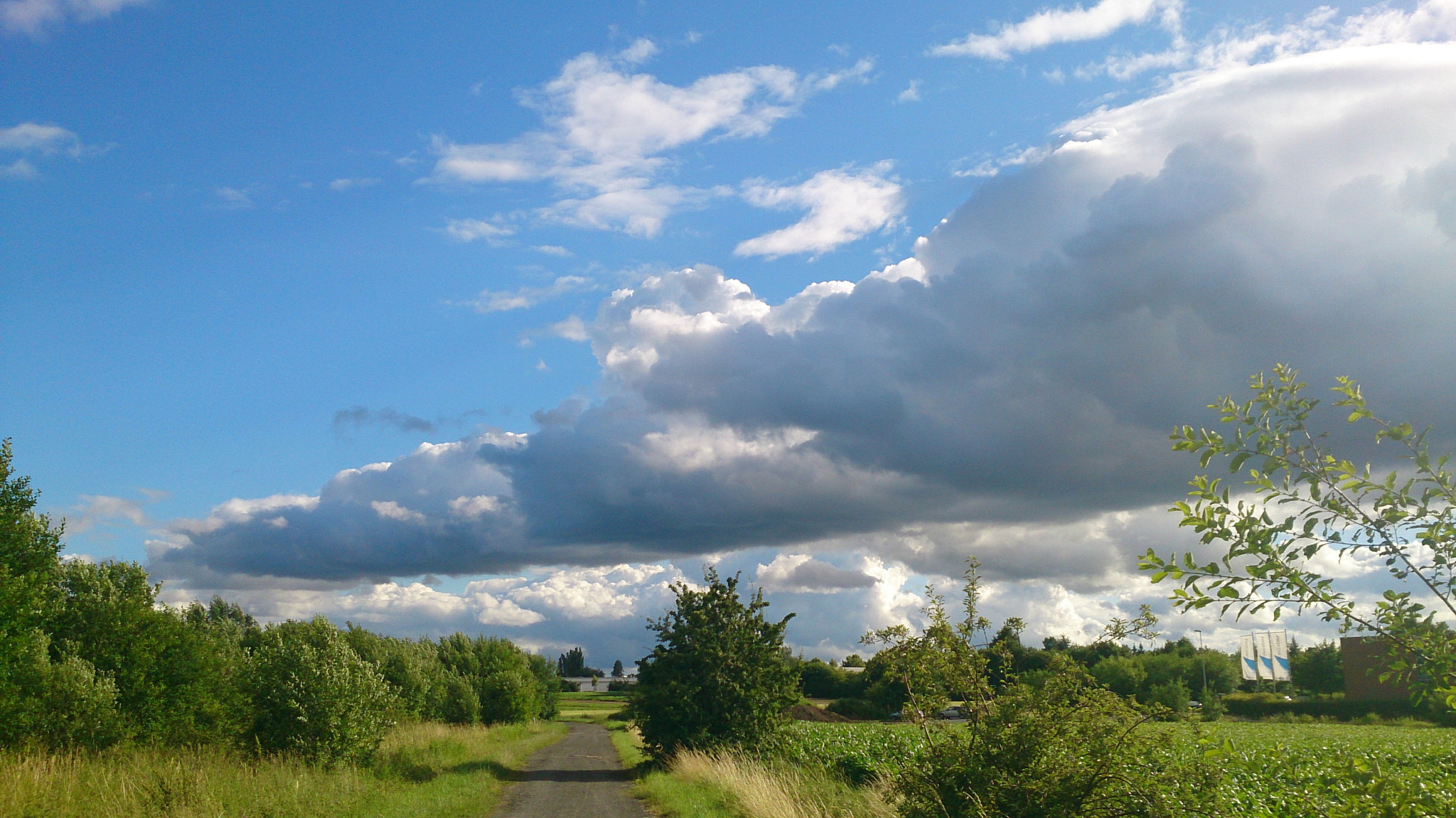 Sony Xperia Z sample photo. Natur in summer photography